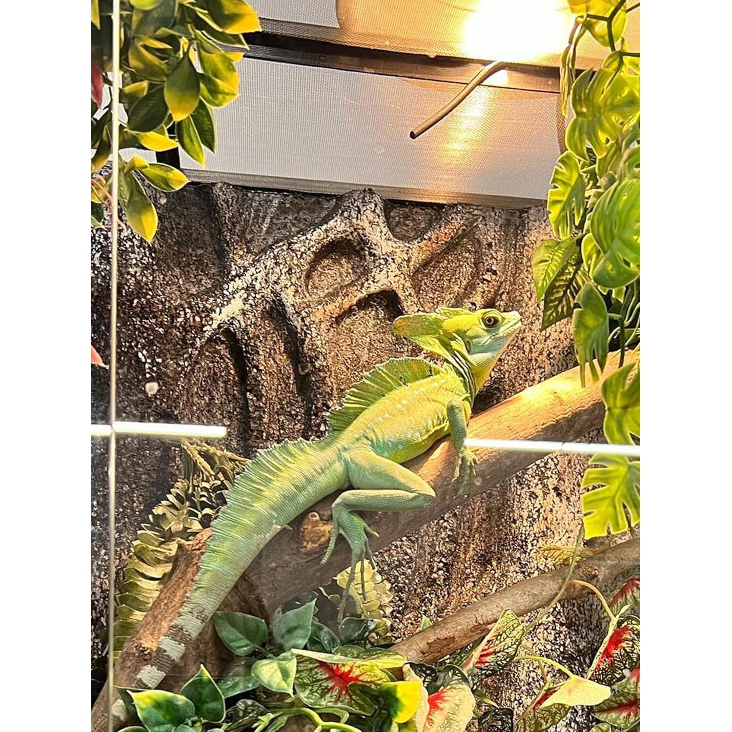 Bombilla de Calor 80W REPTISPA UVA UVB para Reptiles