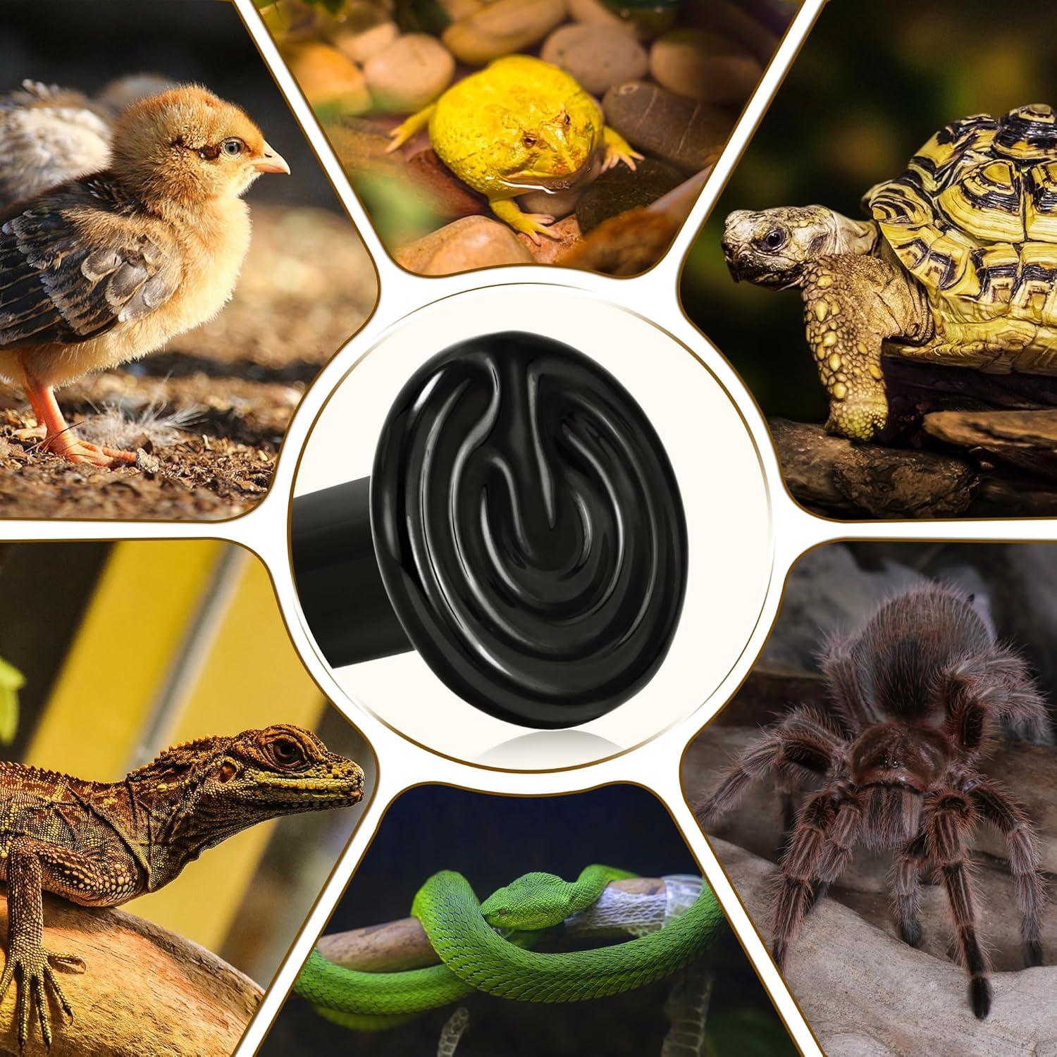 Lámpara de Calor Cerámico NEPTONION 100W para Reptiles