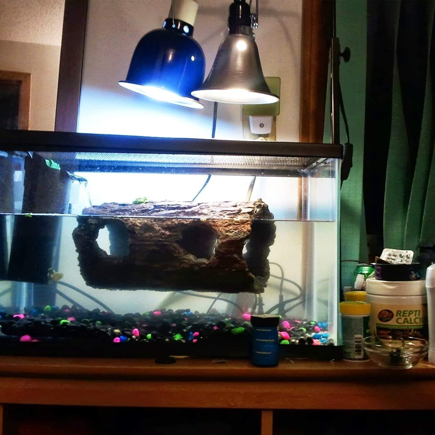 Lámpara de Abrazadera Simple Deluxe 13.97 cm 60W con Cable 1.83m