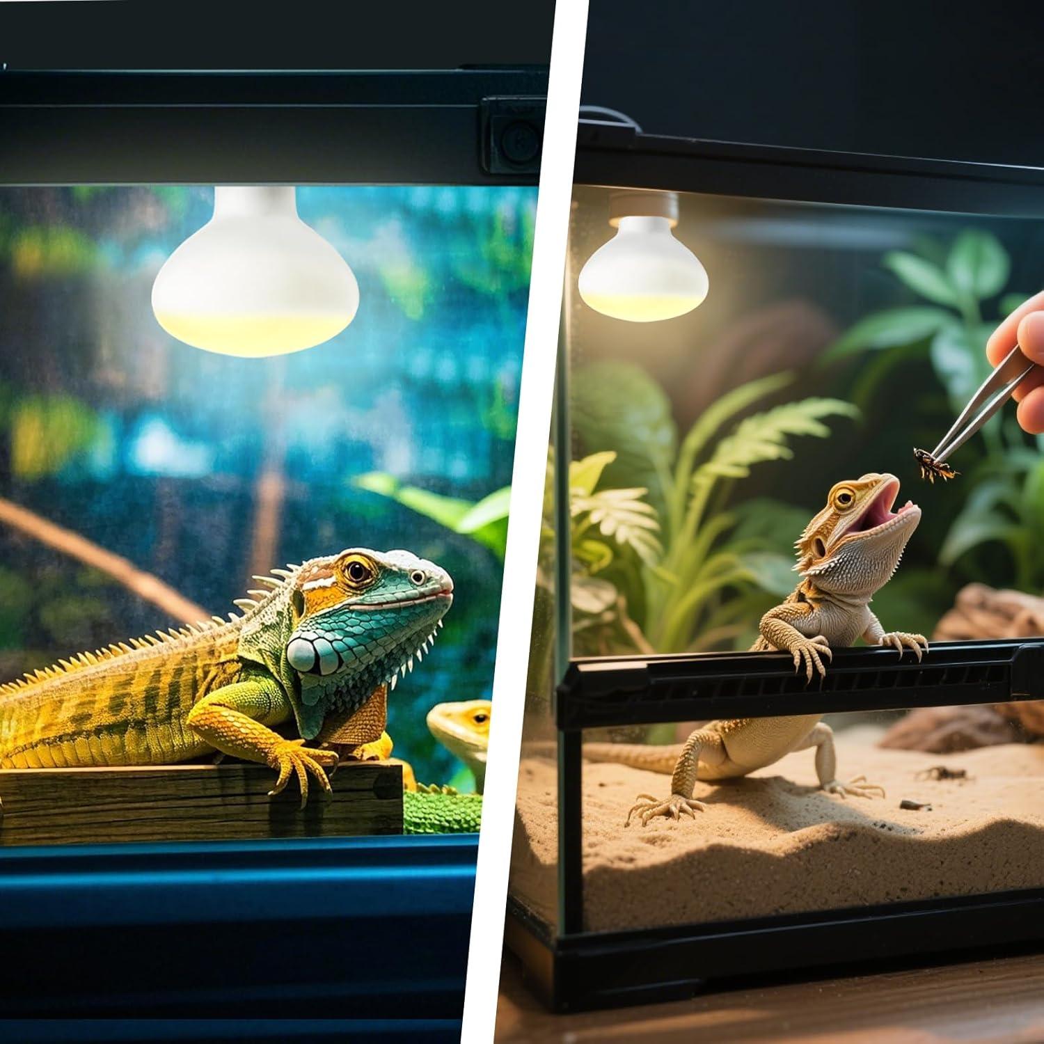 Bombillas de Calor para Reptiles Yimidool 75W UVA Paquete de 2