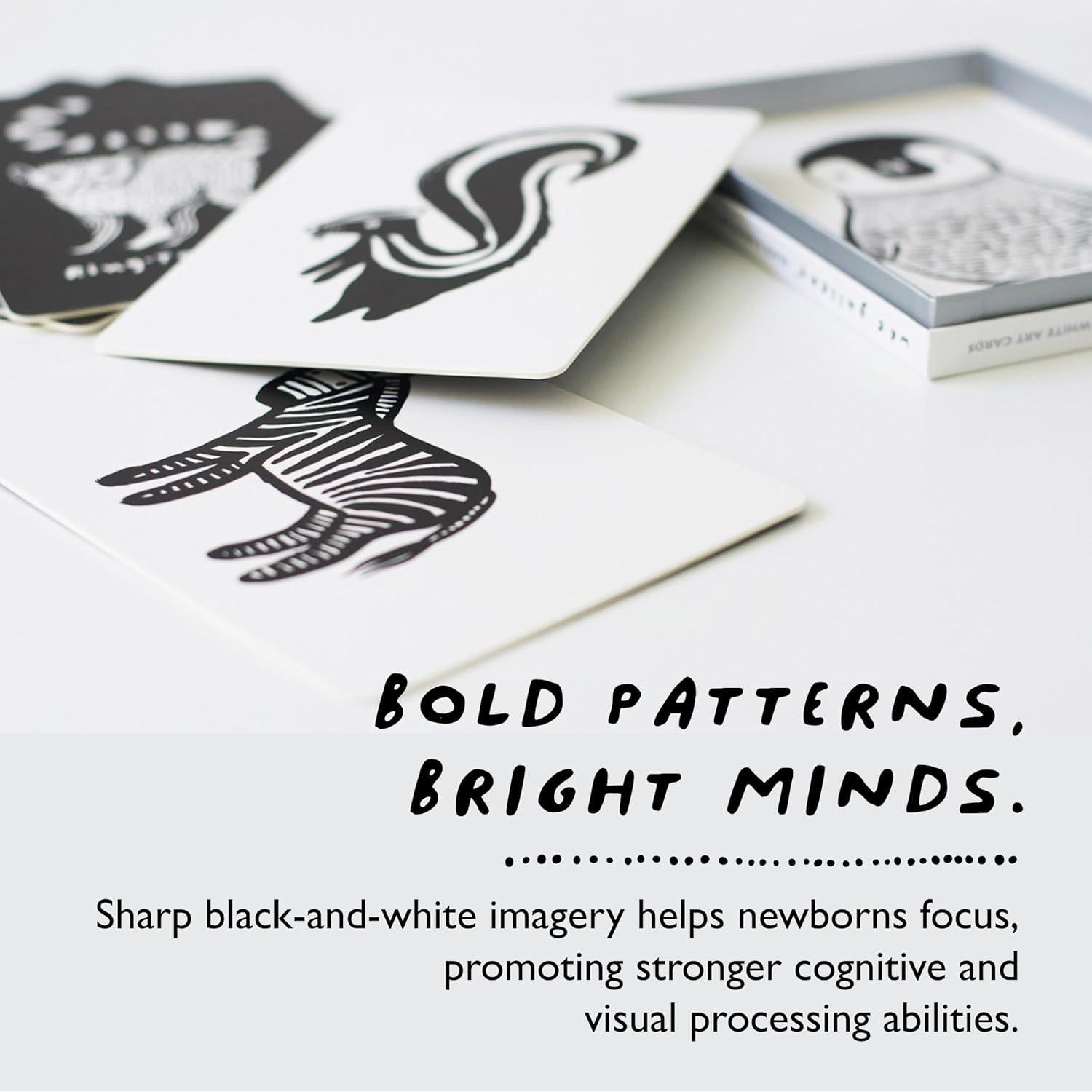 Tarjetas de Arte Wee Gallery Animales del Océano 5x7"