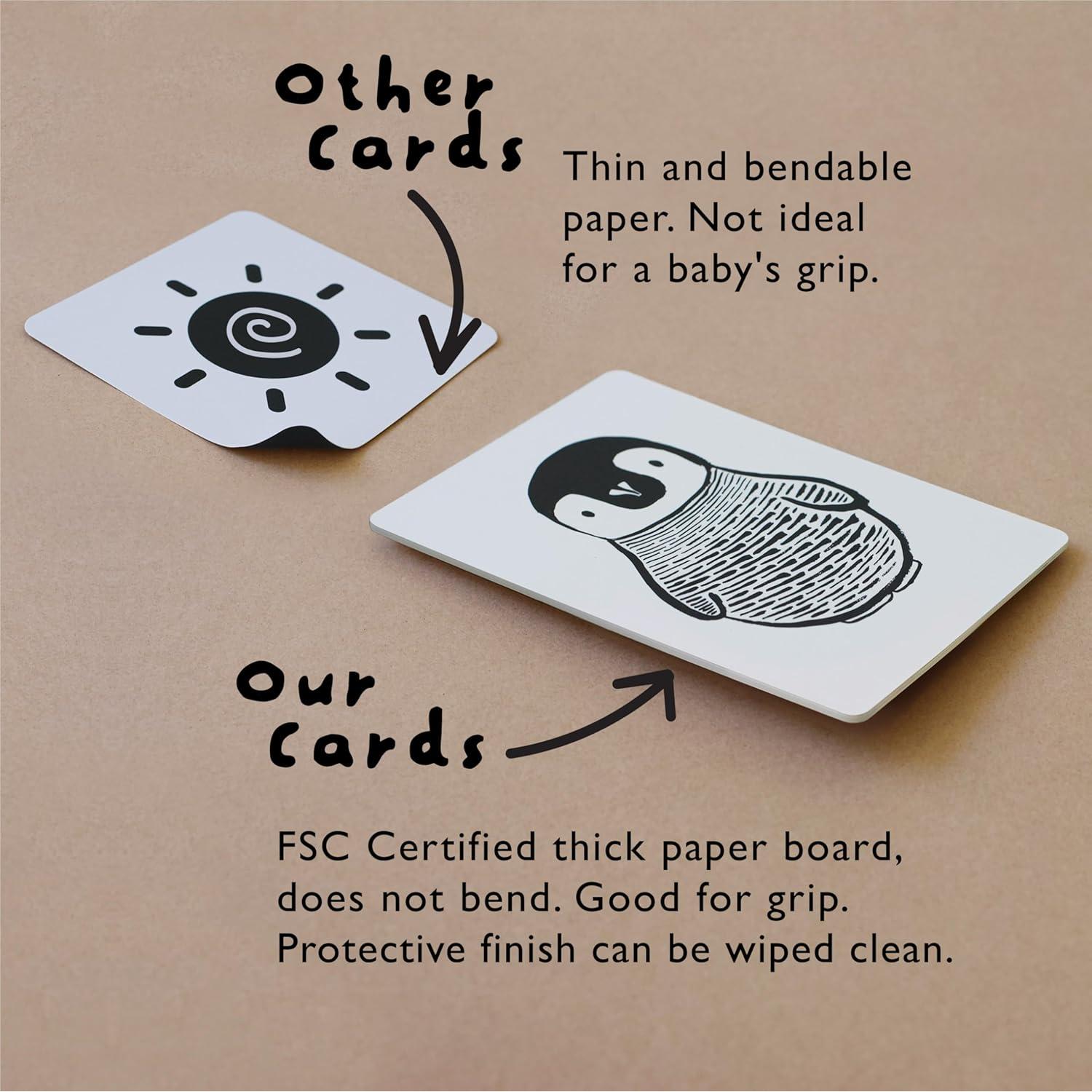 Tarjetas de Arte Wee Gallery Animales del Océano 5x7"