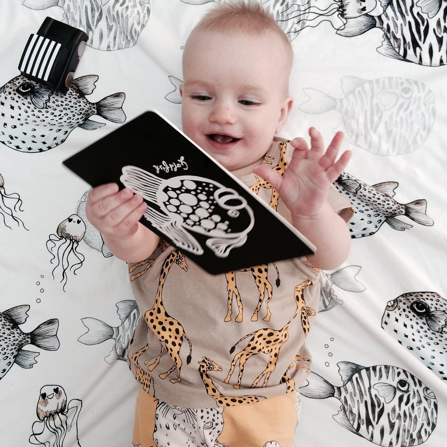 Tarjetas de Arte Wee Gallery Animales del Océano 5x7"