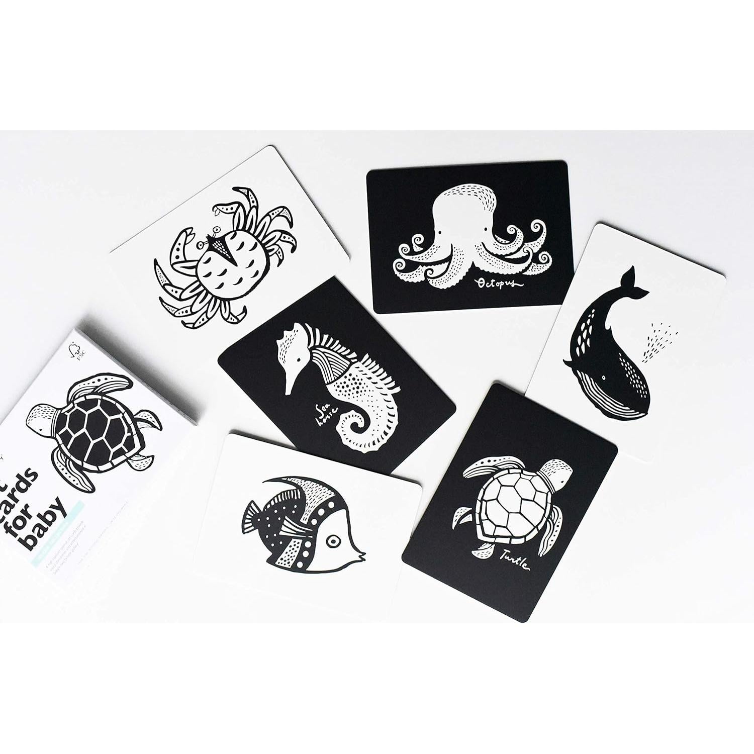 Tarjetas de Arte Wee Gallery Animales del Océano 5x7"