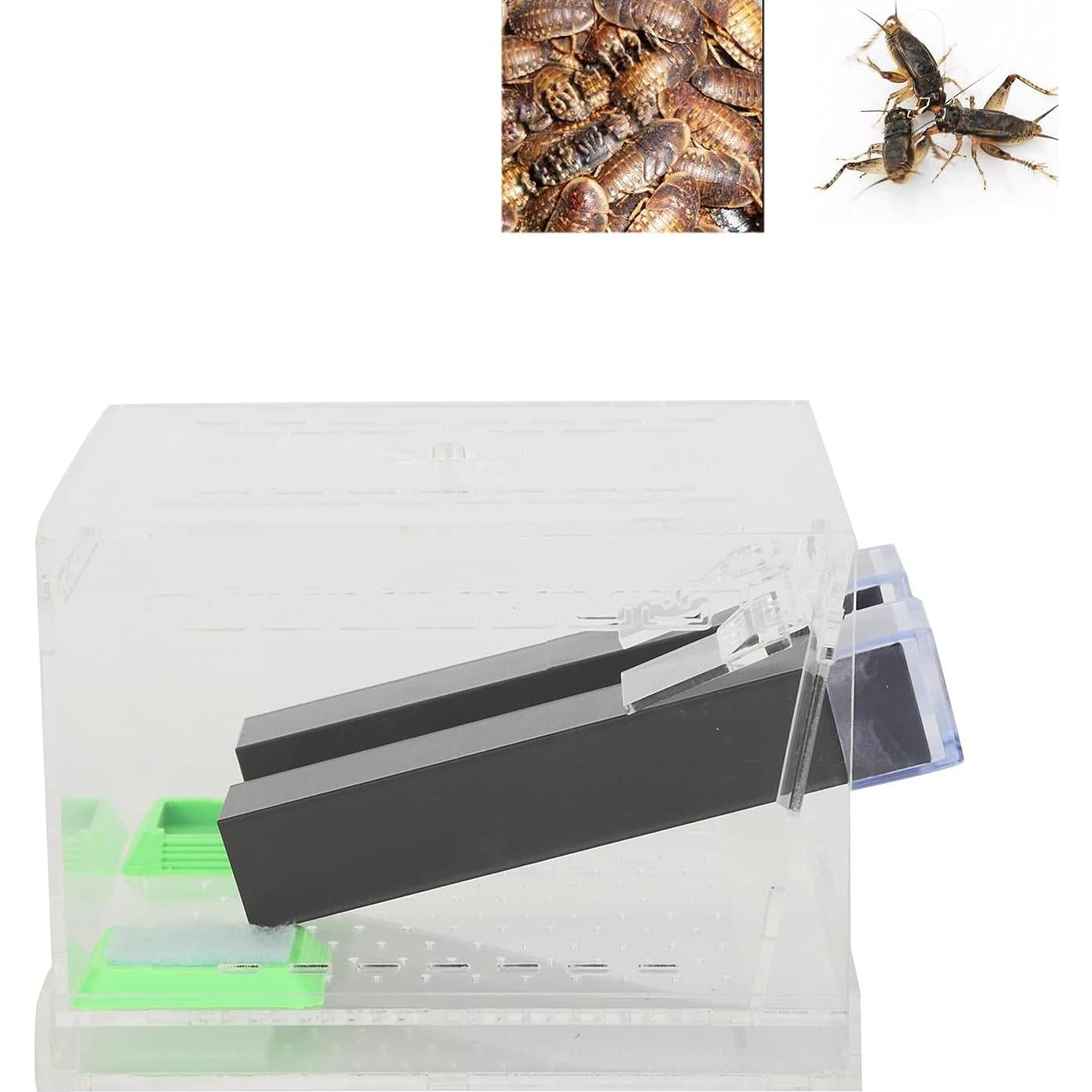 Caja de Alimentación Acrílica Liyeehao para Insectos 0.53 kg