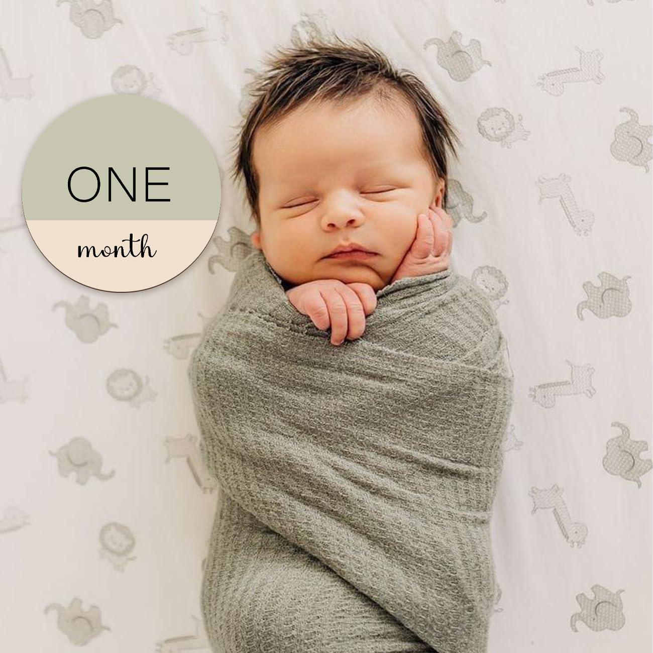 Círculos de Hitos Mensuales de Madera Cephira - 6 Unidades