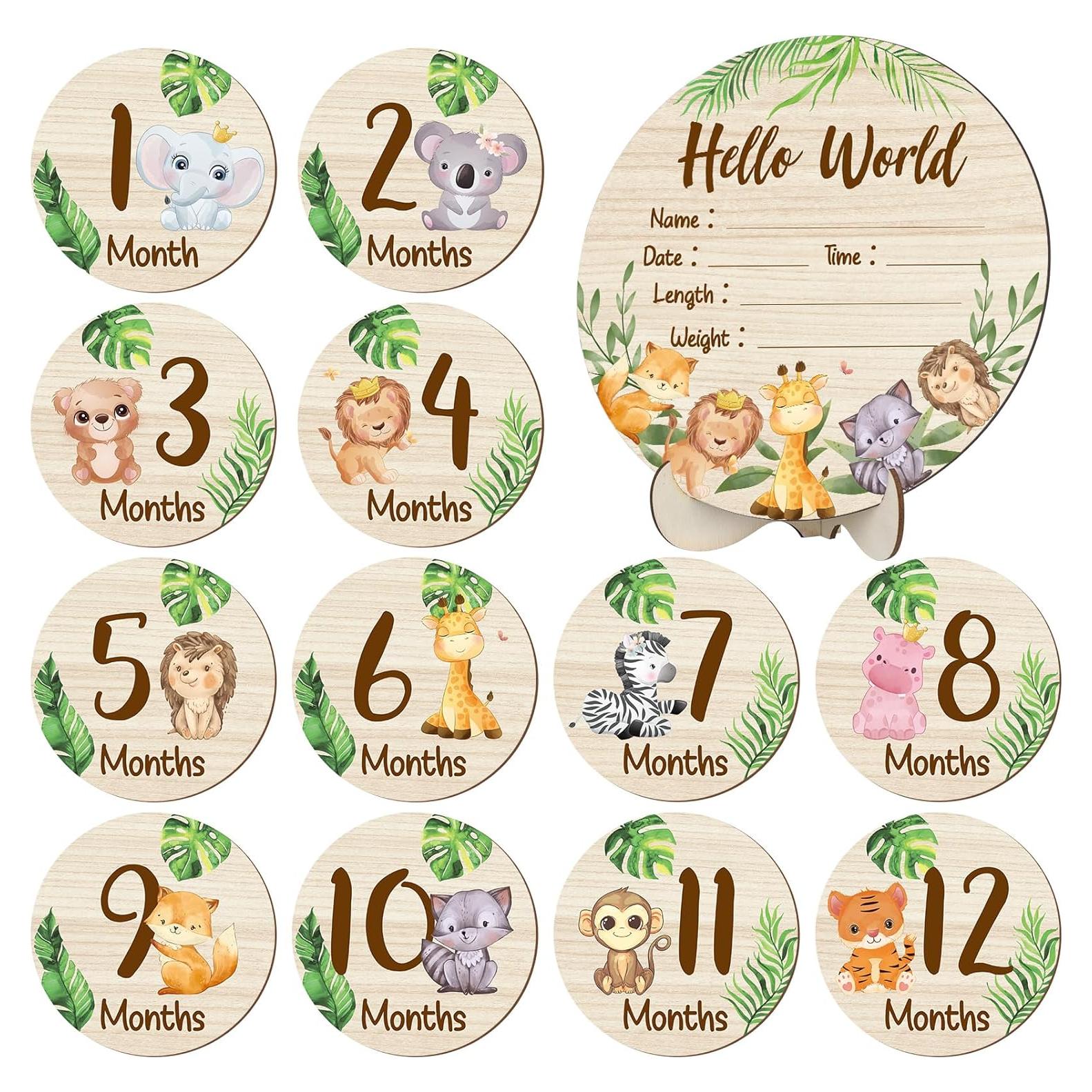 Tarjetas de Hitos Mensuales de Madera XLSXEXCL - 7 Piezas