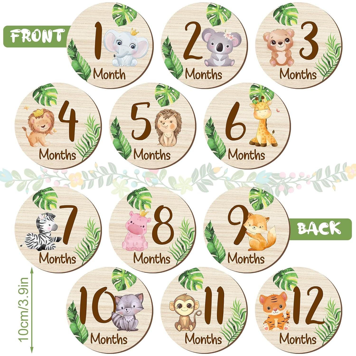 Tarjetas de Hitos Mensuales de Madera XLSXEXCL - 7 Piezas