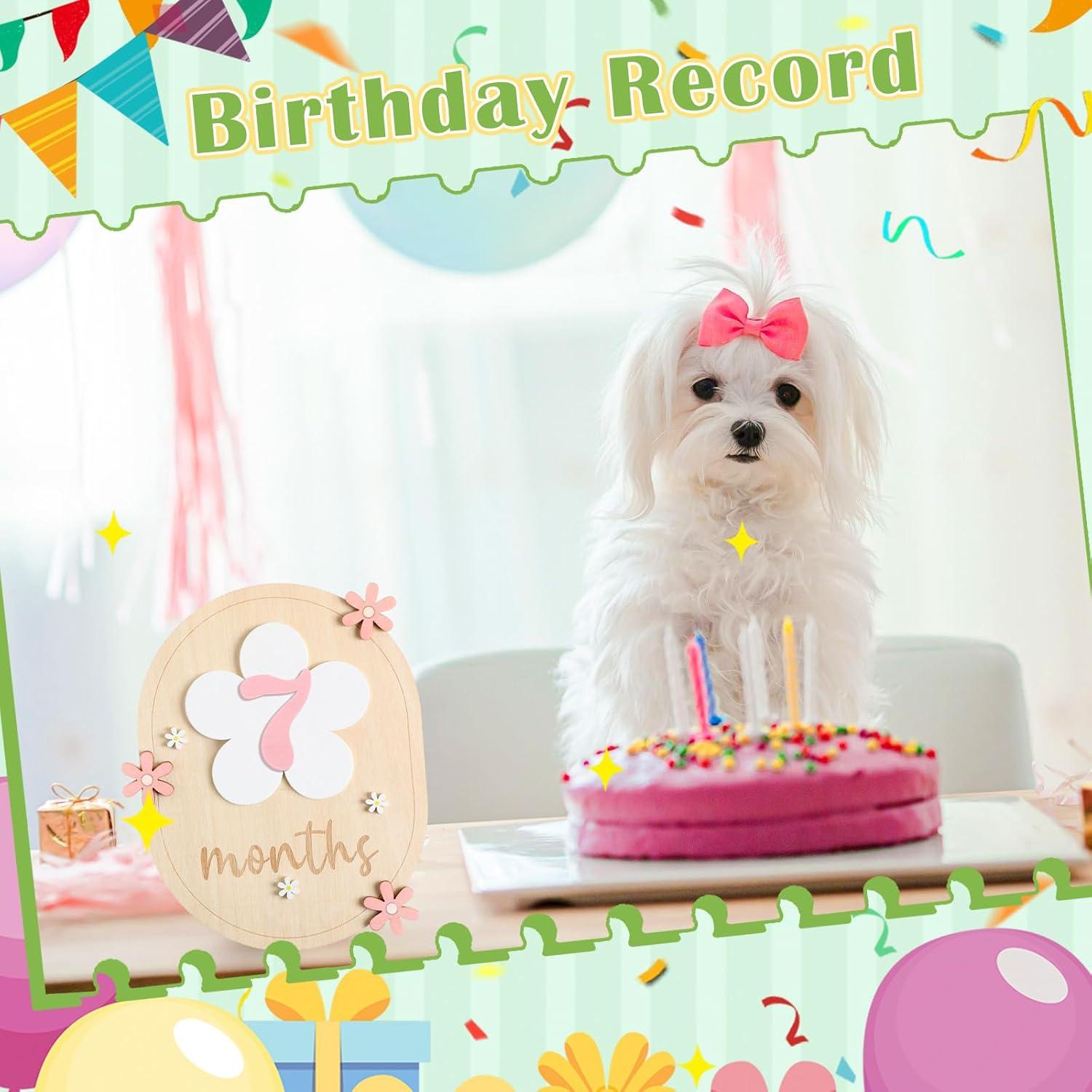 Tarjetas de Hitos Mensuales para Bebés Beeveer - Madera 16x13cm