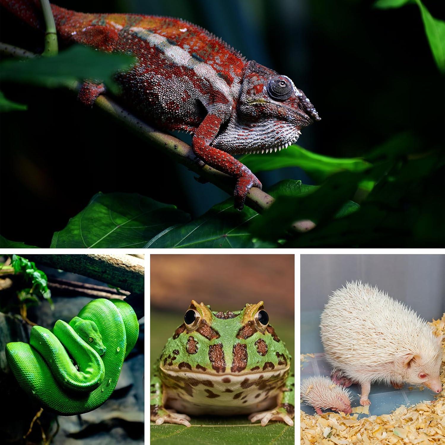 Almohadilla de Calentamiento para Reptiles Pymeter 20x30 cm con Termostato PID