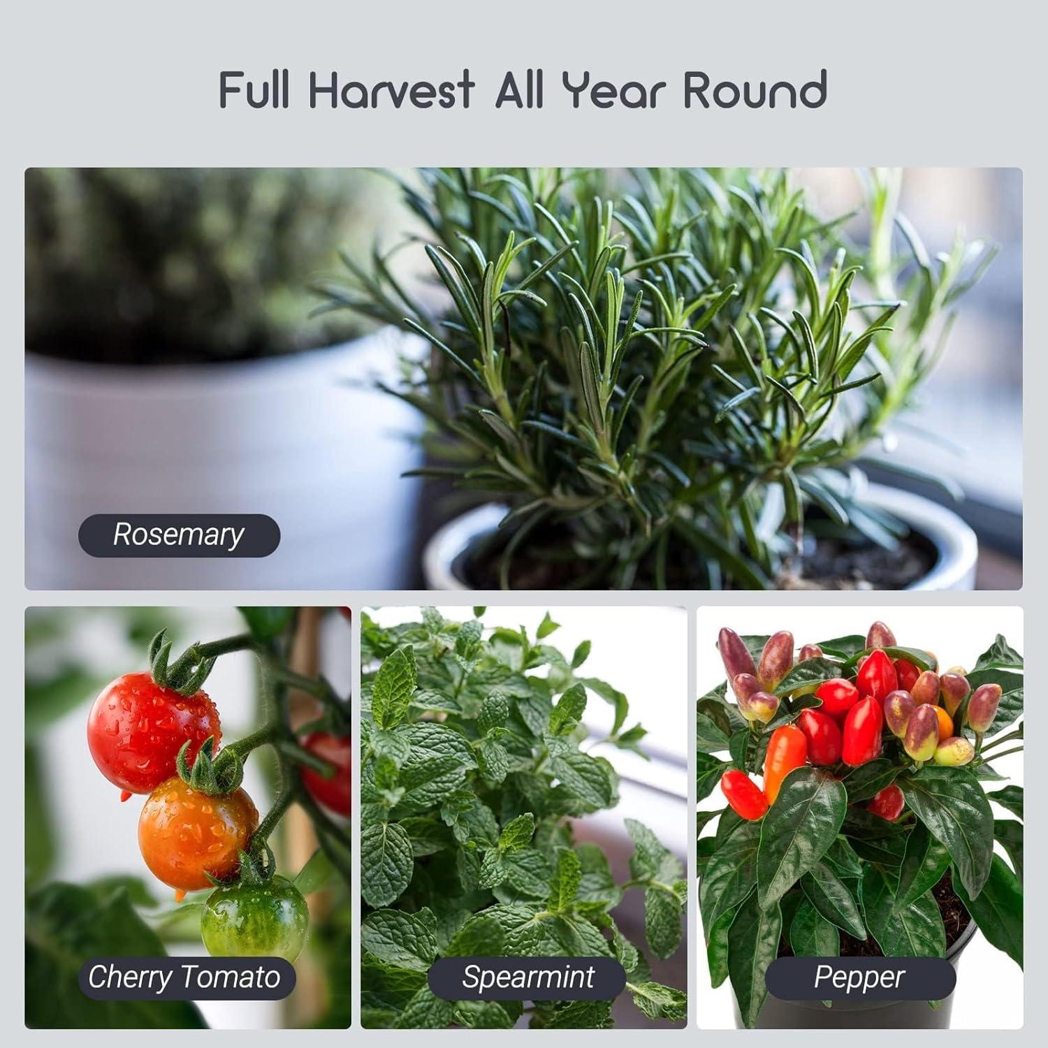 LUXBIRD Combo 2 Pack Alfombrilla Térmica 25.4x52.7cm y Termostato