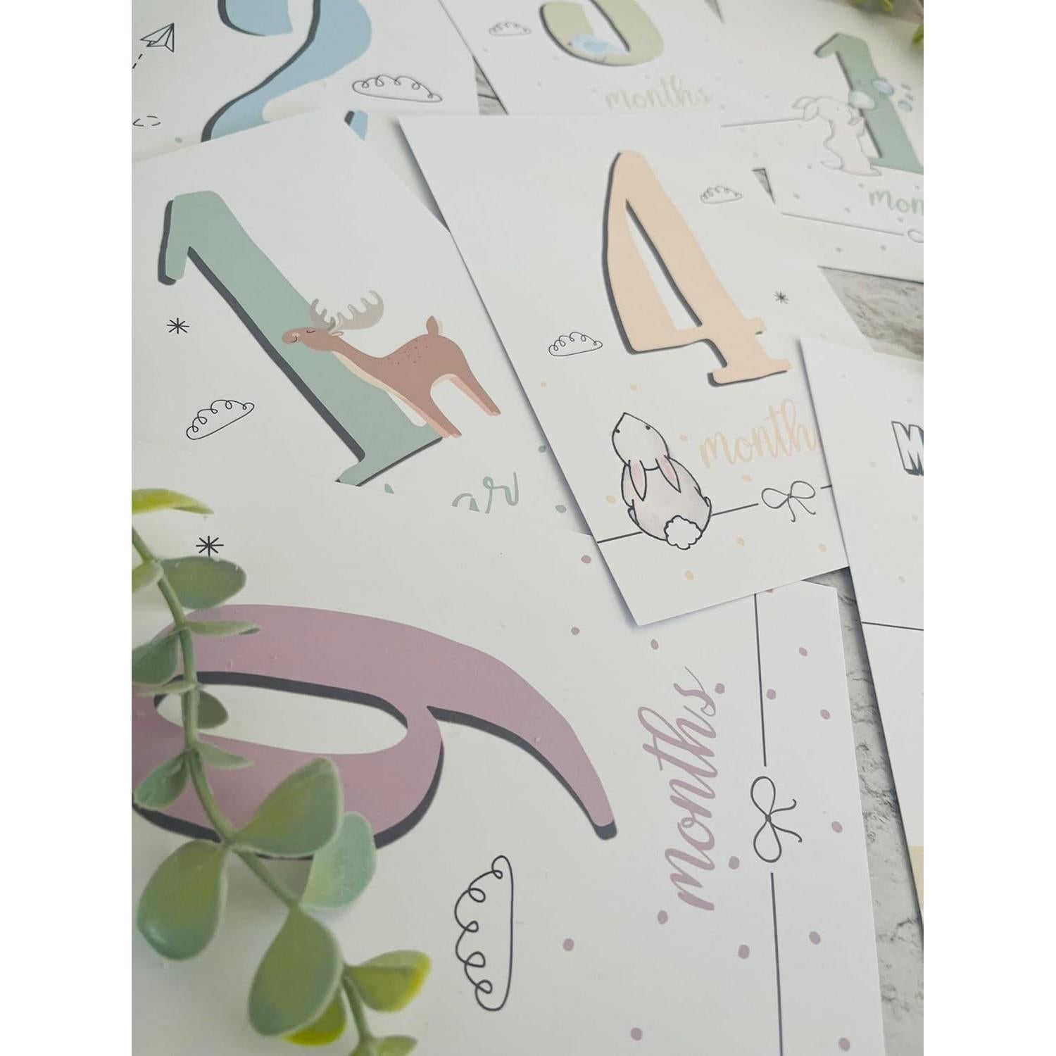 Set de 12 Tarjetas de Hitos del Primer Año del Bebé - Studio Mist Design - Colores Pastel