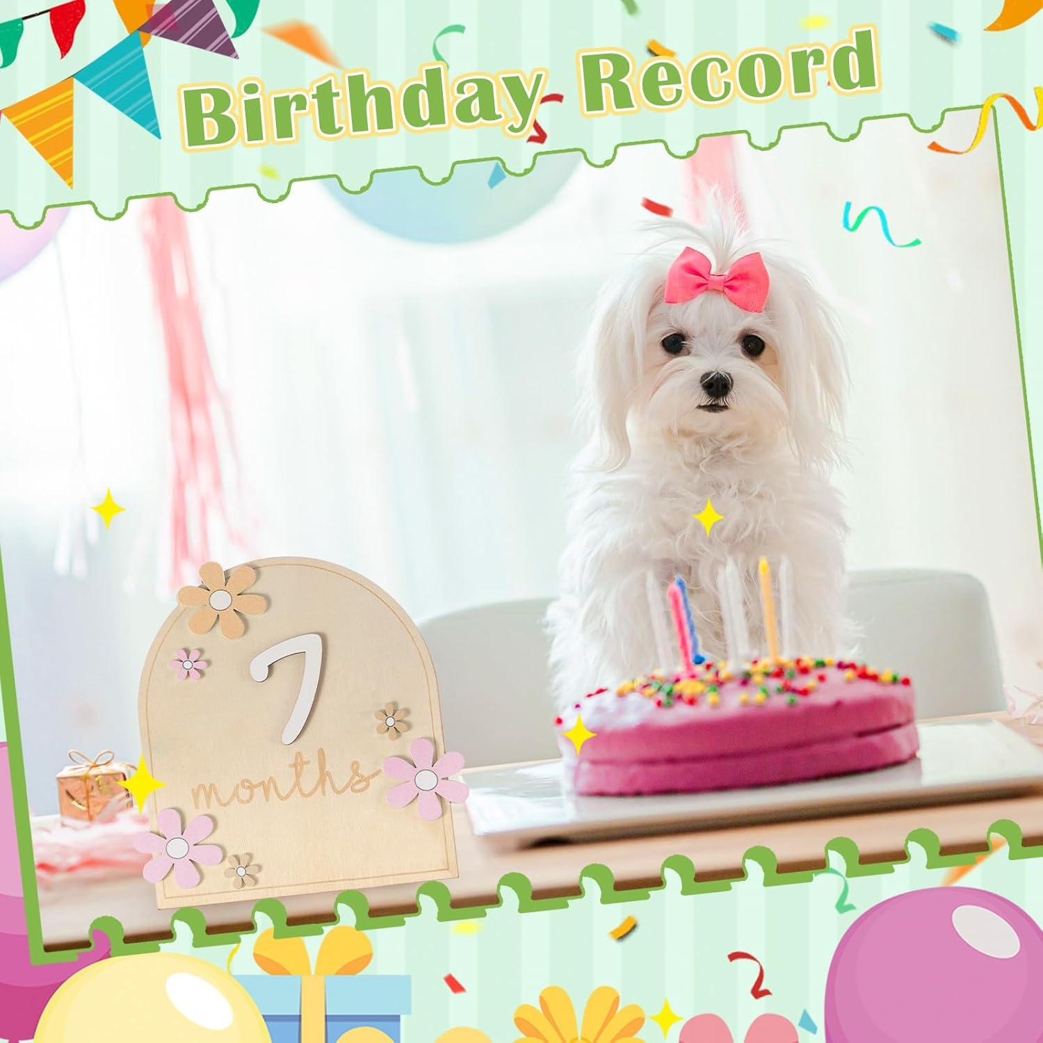 Tarjetas de Hitos Mensuales para Bebés Beeveer - Madera Bohemia