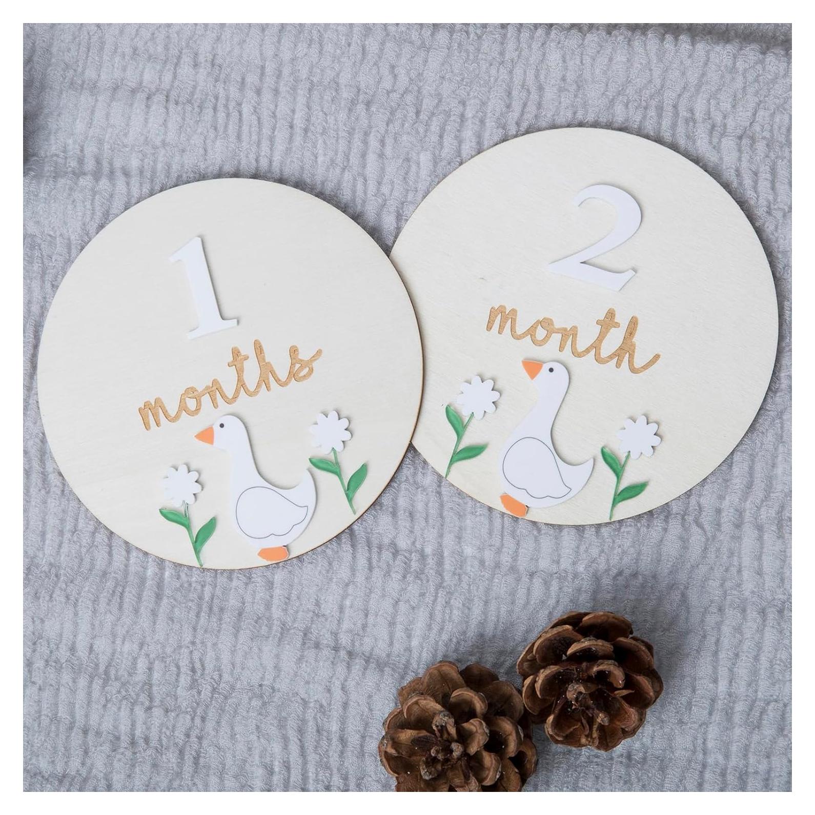 Tarjetas de Hitos Mensuales Troxueo - Discos de Madera 12.45 cm