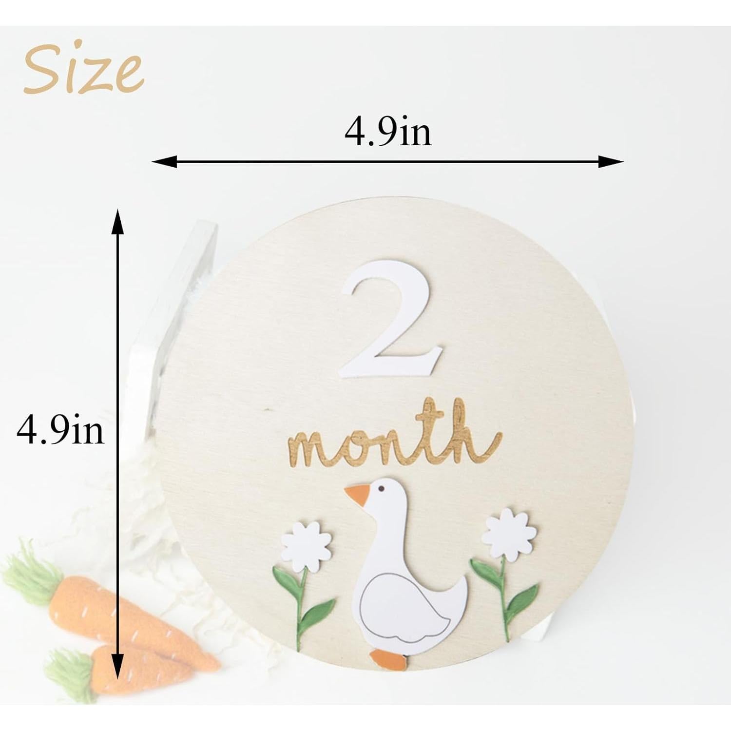 Tarjetas de Hitos Mensuales Troxueo - Discos de Madera 12.45 cm