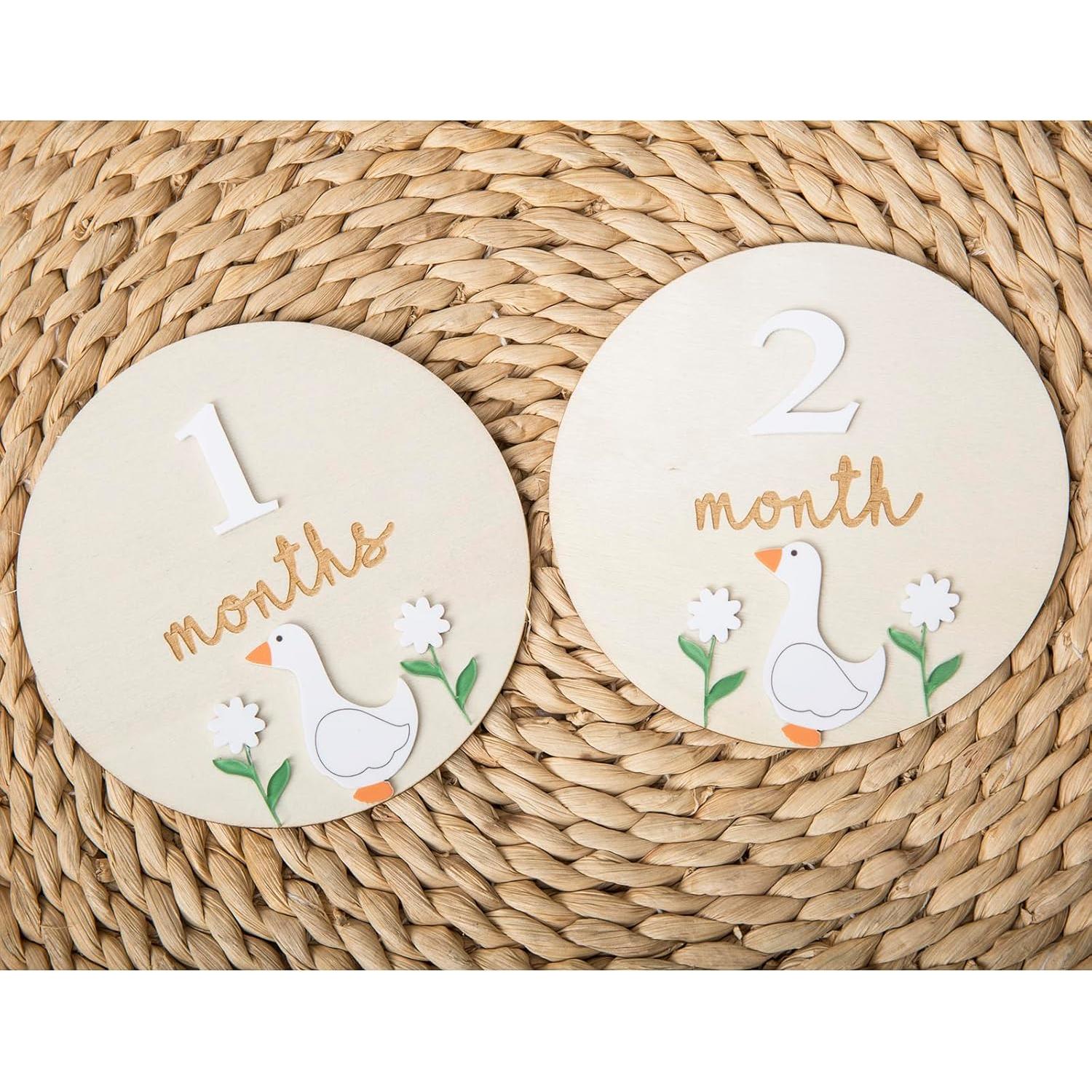 Tarjetas de Hitos Mensuales Troxueo - Discos de Madera 12.45 cm