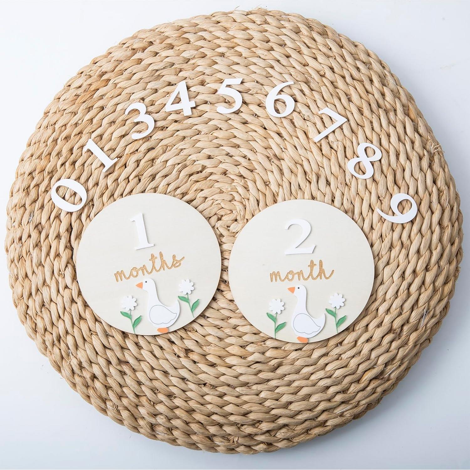 Tarjetas de Hitos Mensuales Troxueo - Discos de Madera 12.45 cm