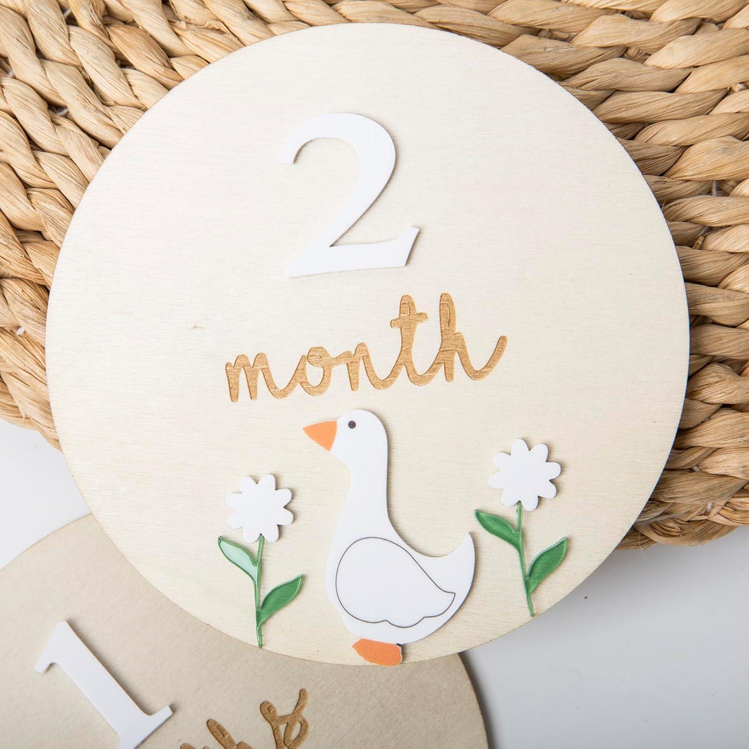 Tarjetas de Hitos Mensuales Troxueo - Discos de Madera 12.45 cm