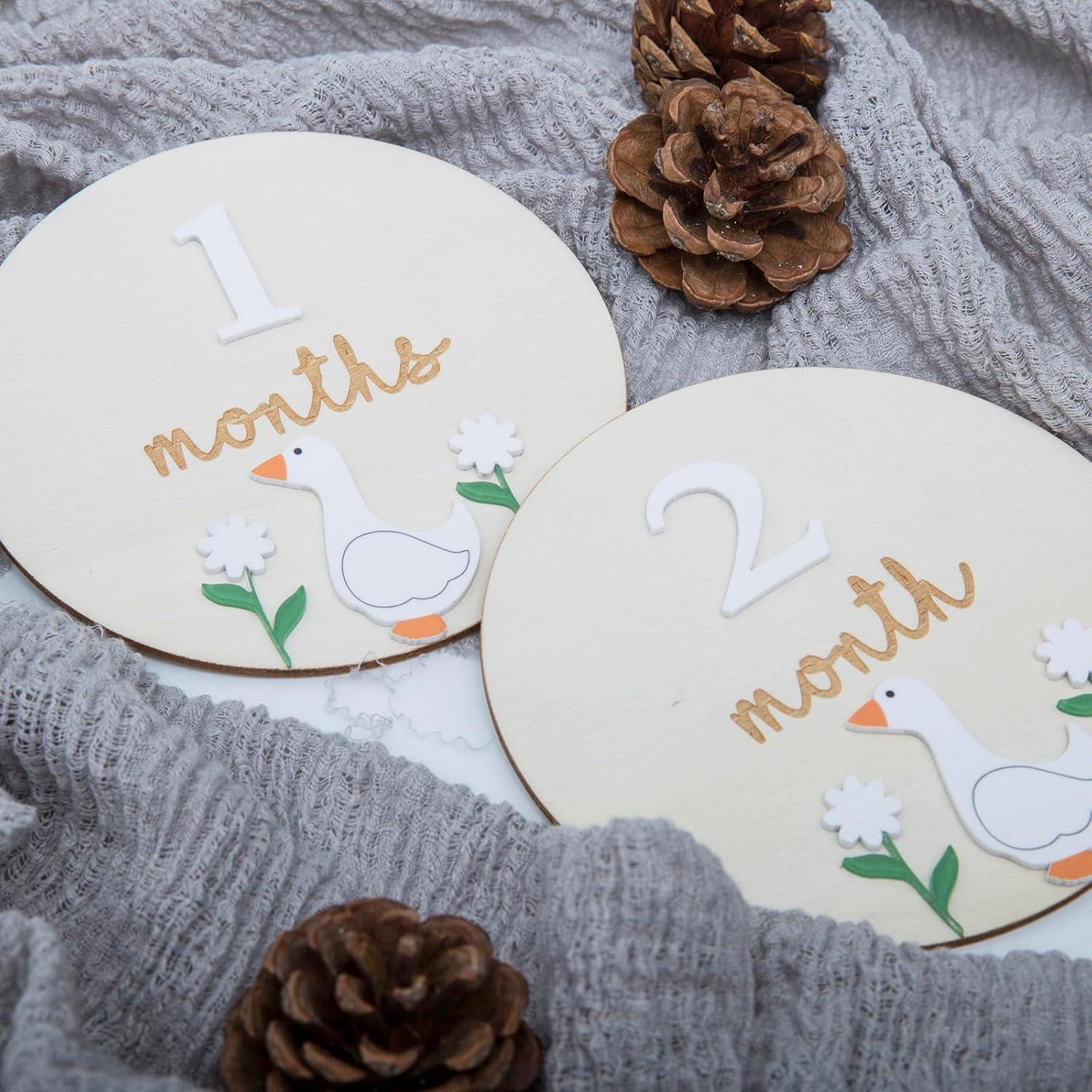 Tarjetas de Hitos Mensuales Troxueo - Discos de Madera 12.45 cm