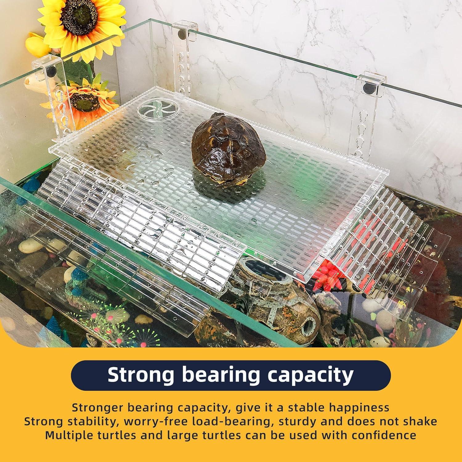 Plataforma de descanso para tortugas BINANO con rampa 2.54cm