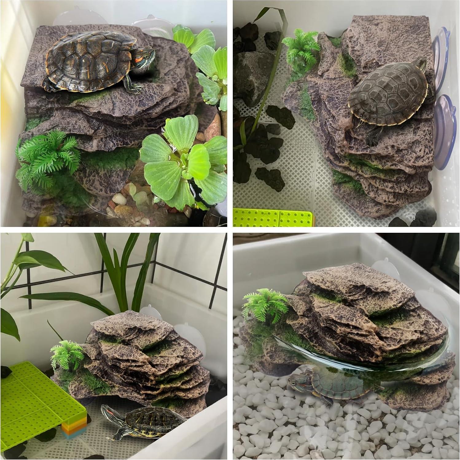 Plataforma de Sol para Tortugas Kathson 18x17cm con Ventosa