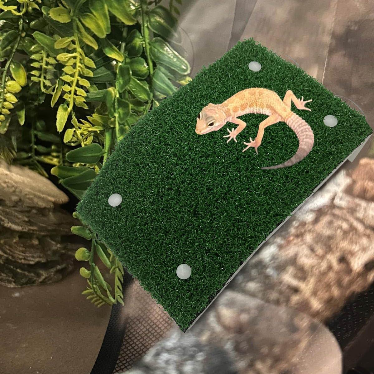 Plataforma de Sol para Tortugas - Accesorio Acuático 21.2x13.5cm