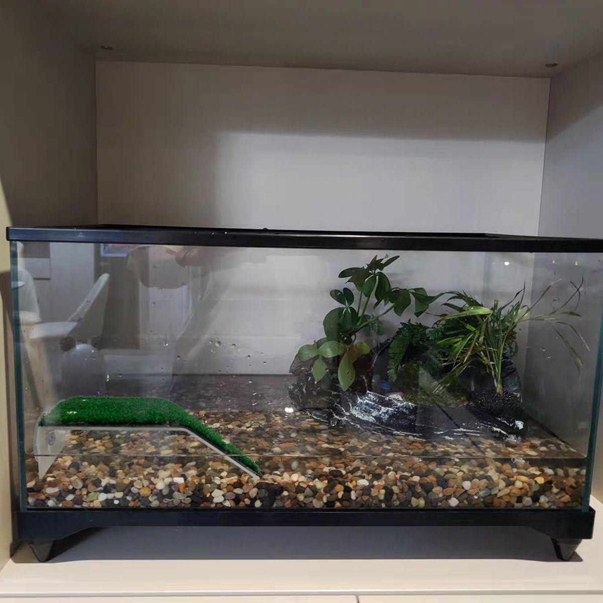 Plataforma de Sol para Tortugas - Accesorio Acuático 21.2x13.5cm