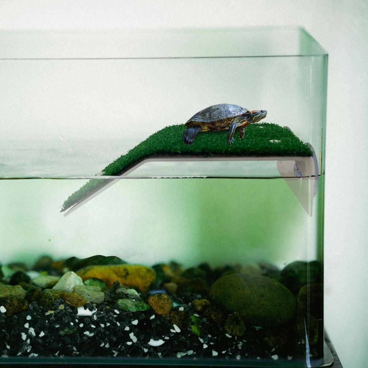 Plataforma de Sol para Tortugas - Accesorio Acuático 21.2x13.5cm