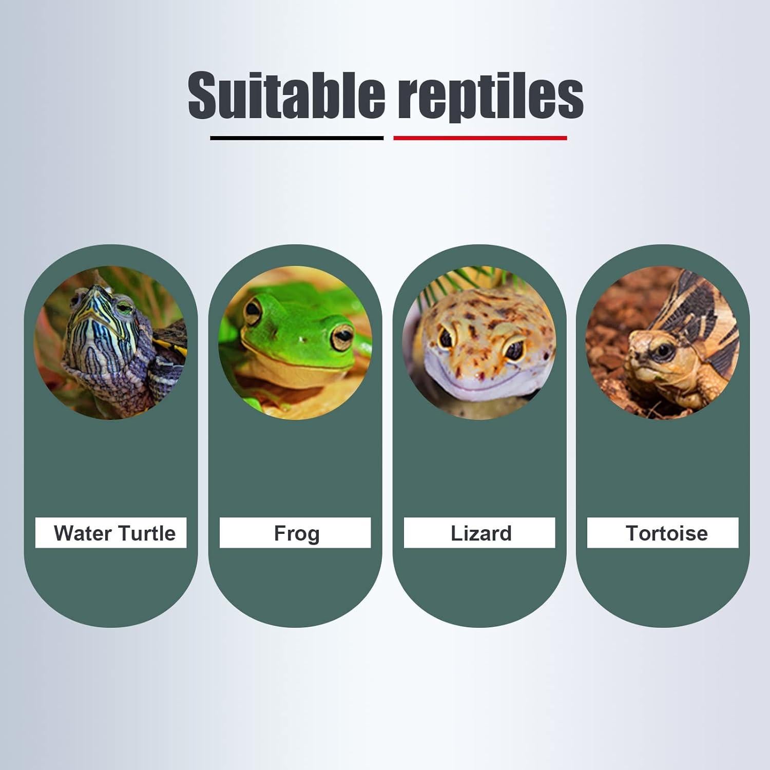 Plataforma de Sol para Tortugas WEAVERBIRD - Acrílico Blanco