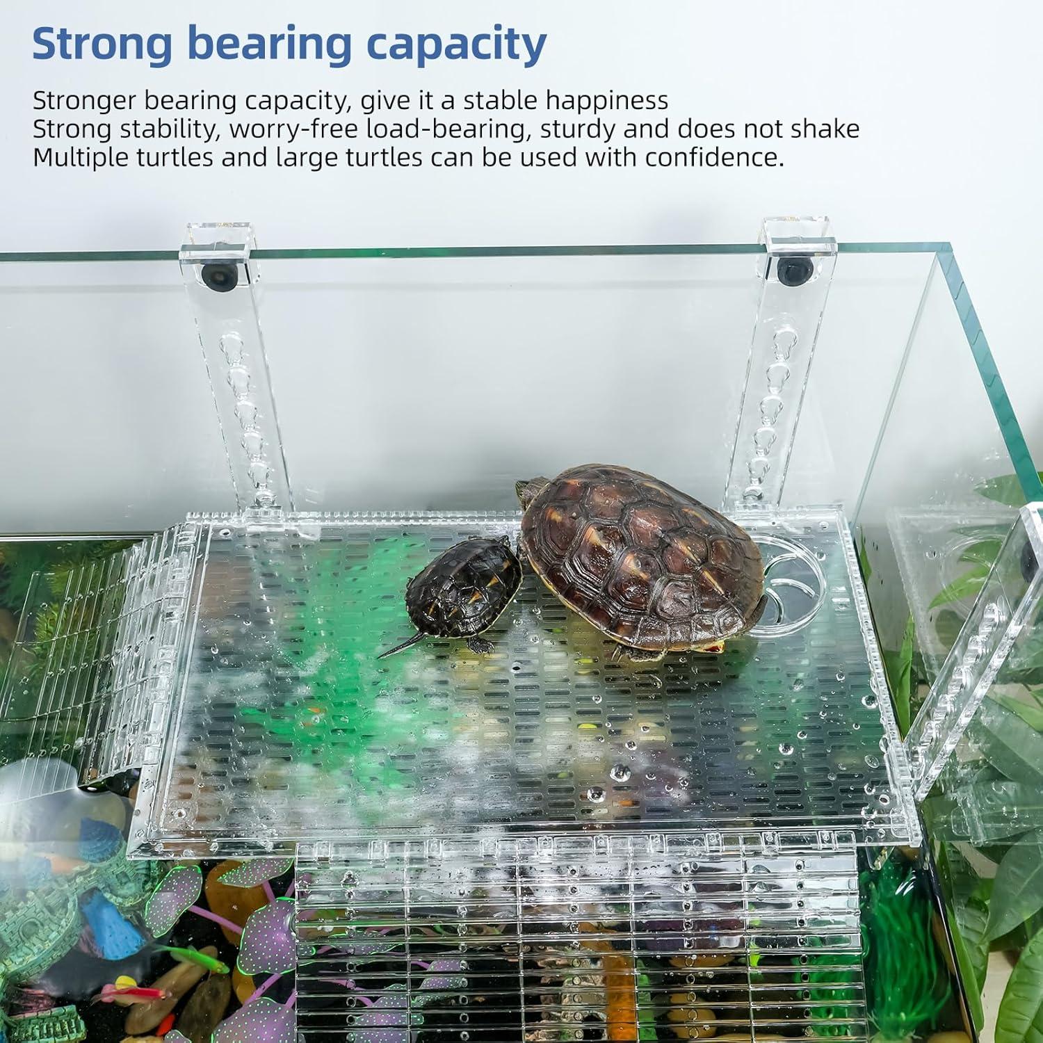 Plataforma de Solarium Acrílica Wedoelsim 30.48 cm para Tortugas