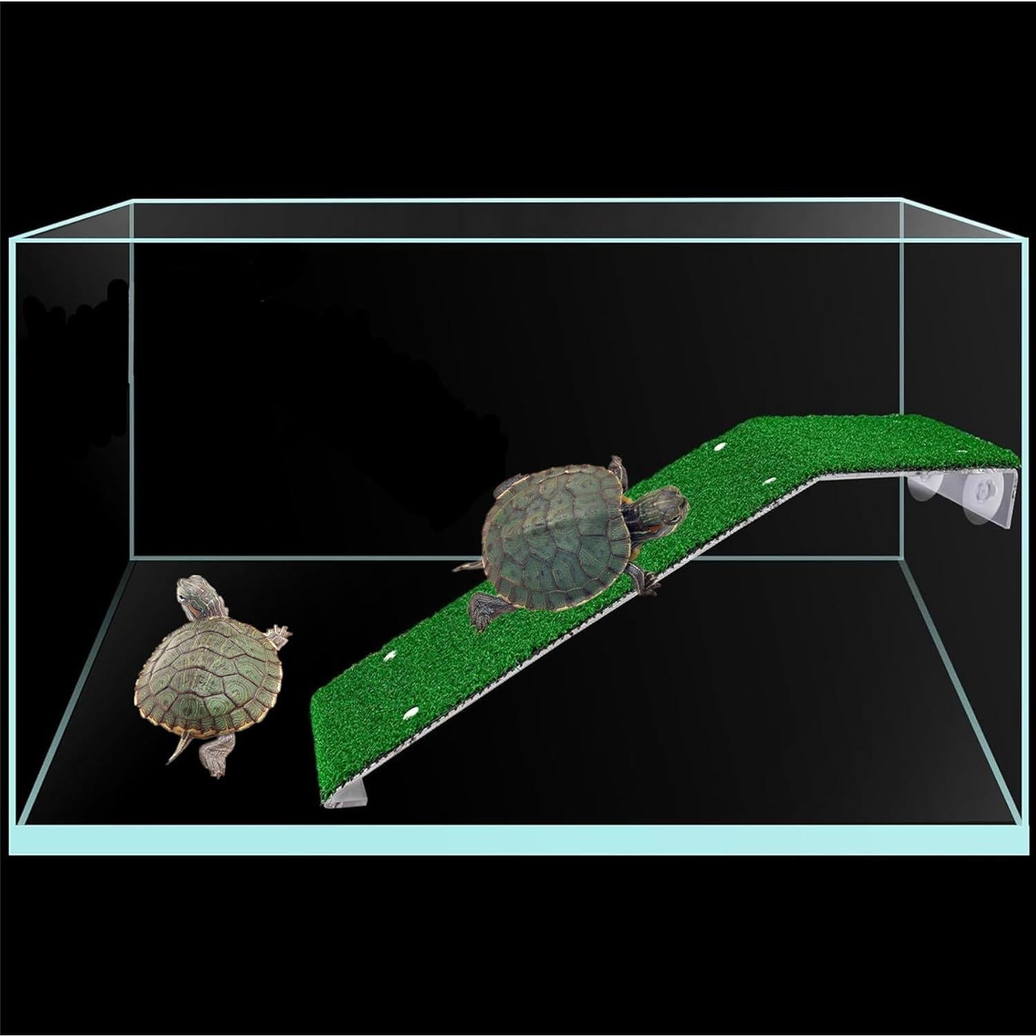 Plataforma de descanso para tortugas Alfyng 8x7 cm con rampa