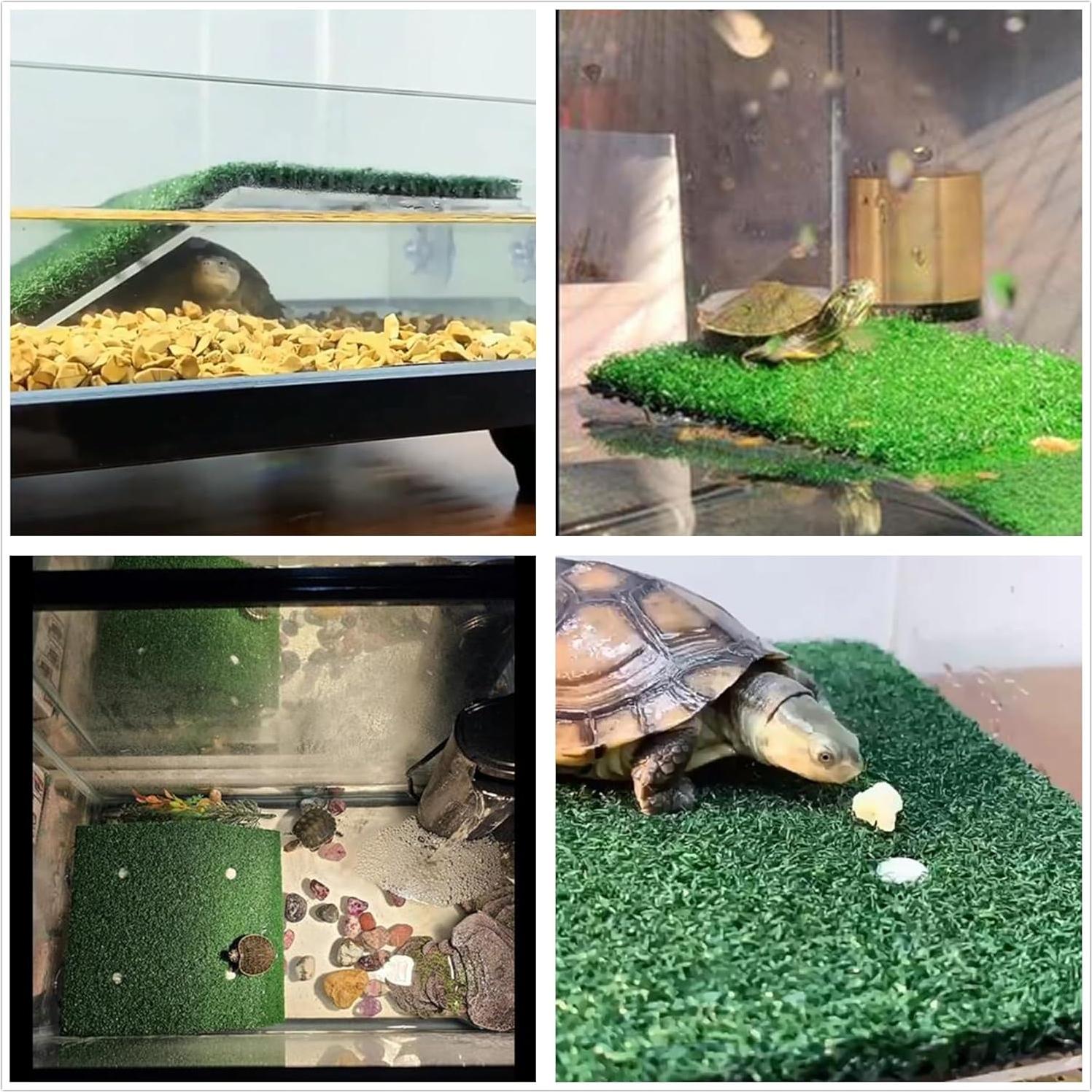 Plataforma de descanso para tortugas Alfyng 8x7 cm con rampa