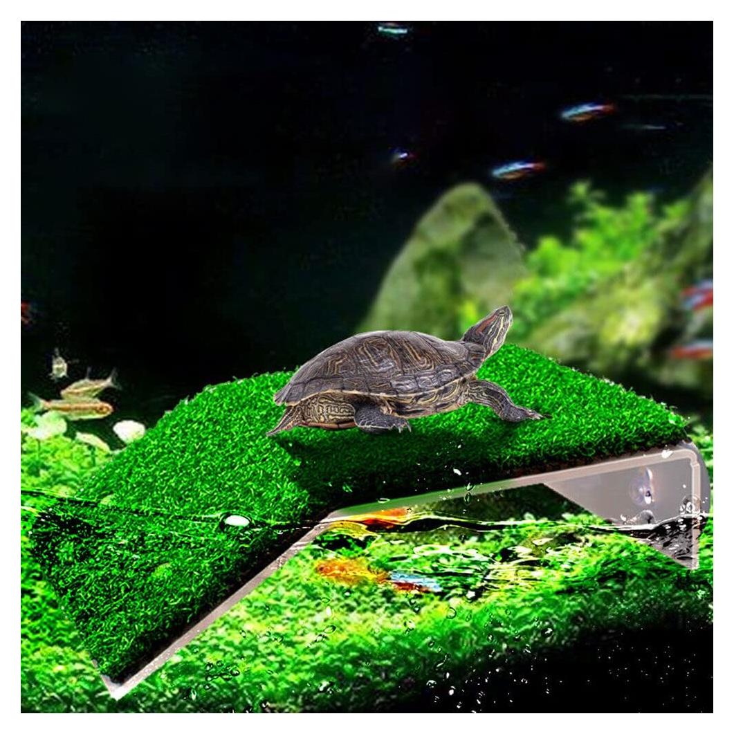 Plataforma de Sol para Tortugas FRIRODSAY 12x12cm con Césped