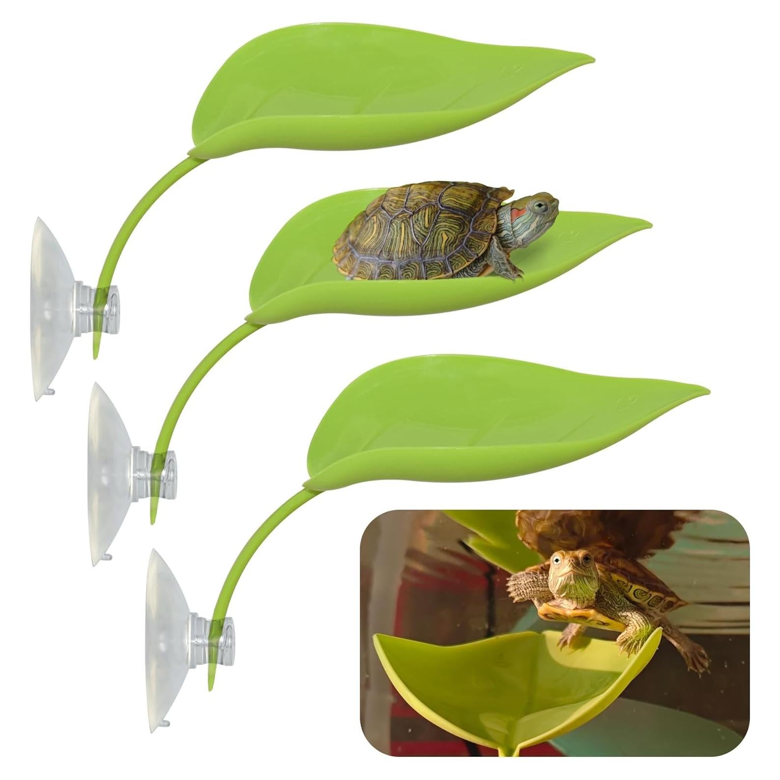 Plataforma de Sol para Tortugas JJMOLLE - 3 Piezas Verde