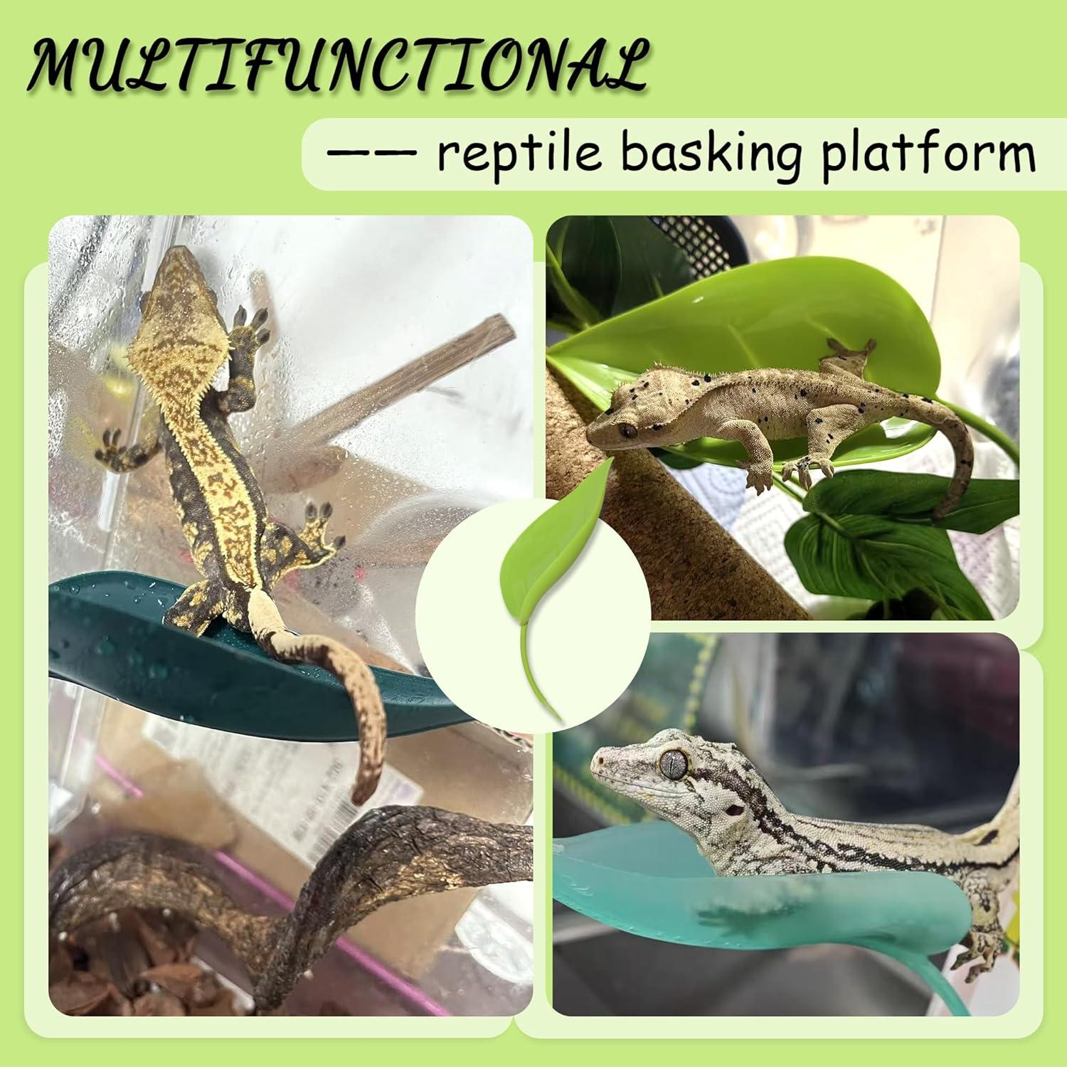 Plataforma de Sol para Tortugas JJMOLLE - 3 Piezas Verde