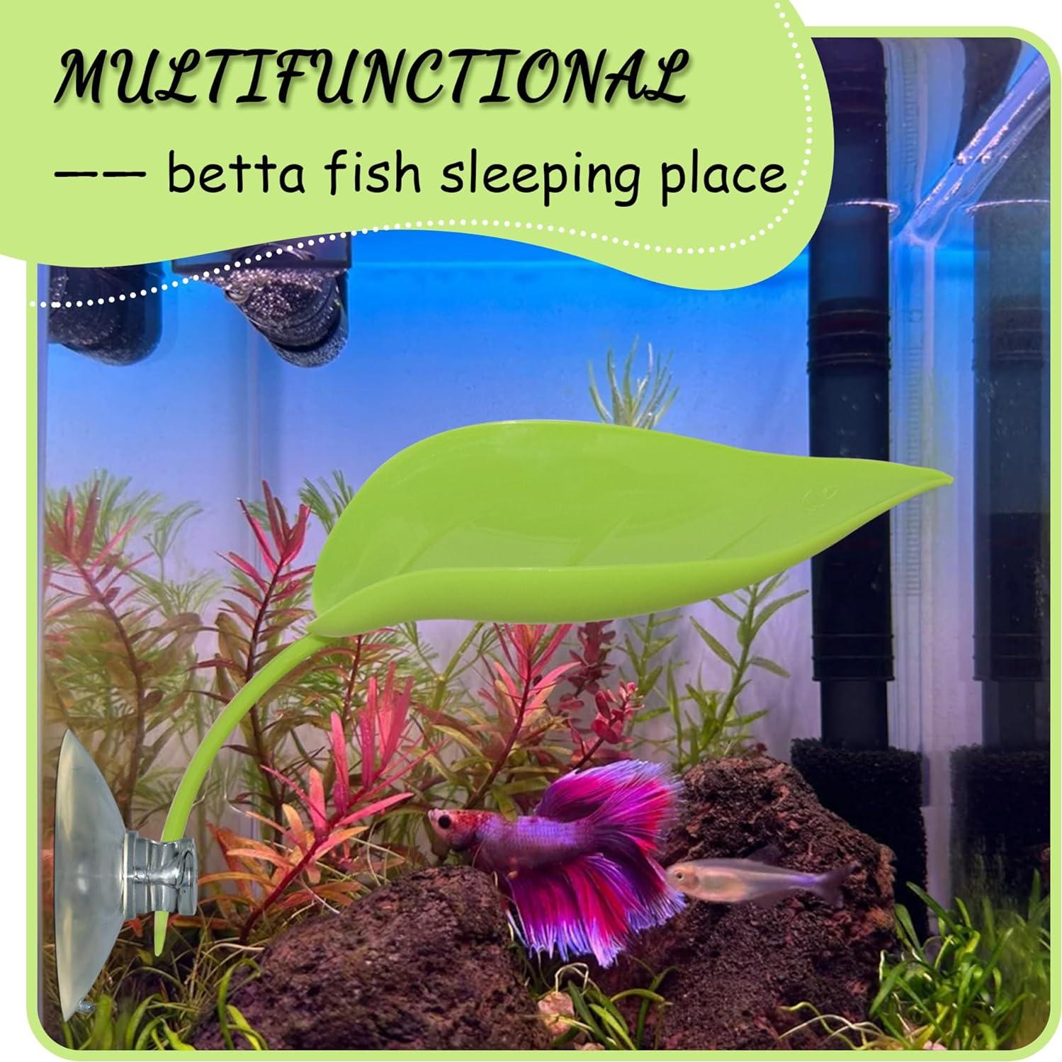 Plataforma de Sol para Tortugas JJMOLLE - 3 Piezas Verde