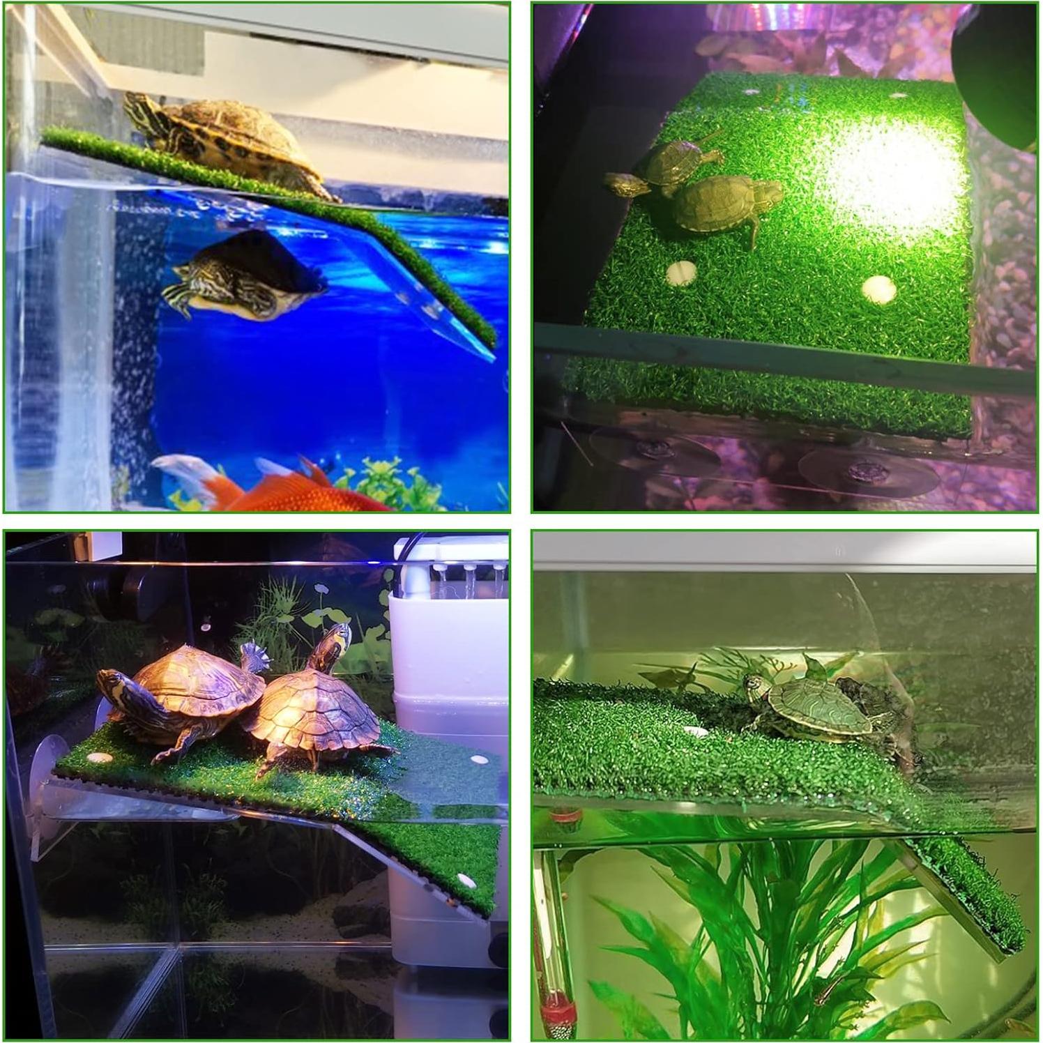 Plataforma de Sol para Tortugas Weaverbird con Césped 12x20cm