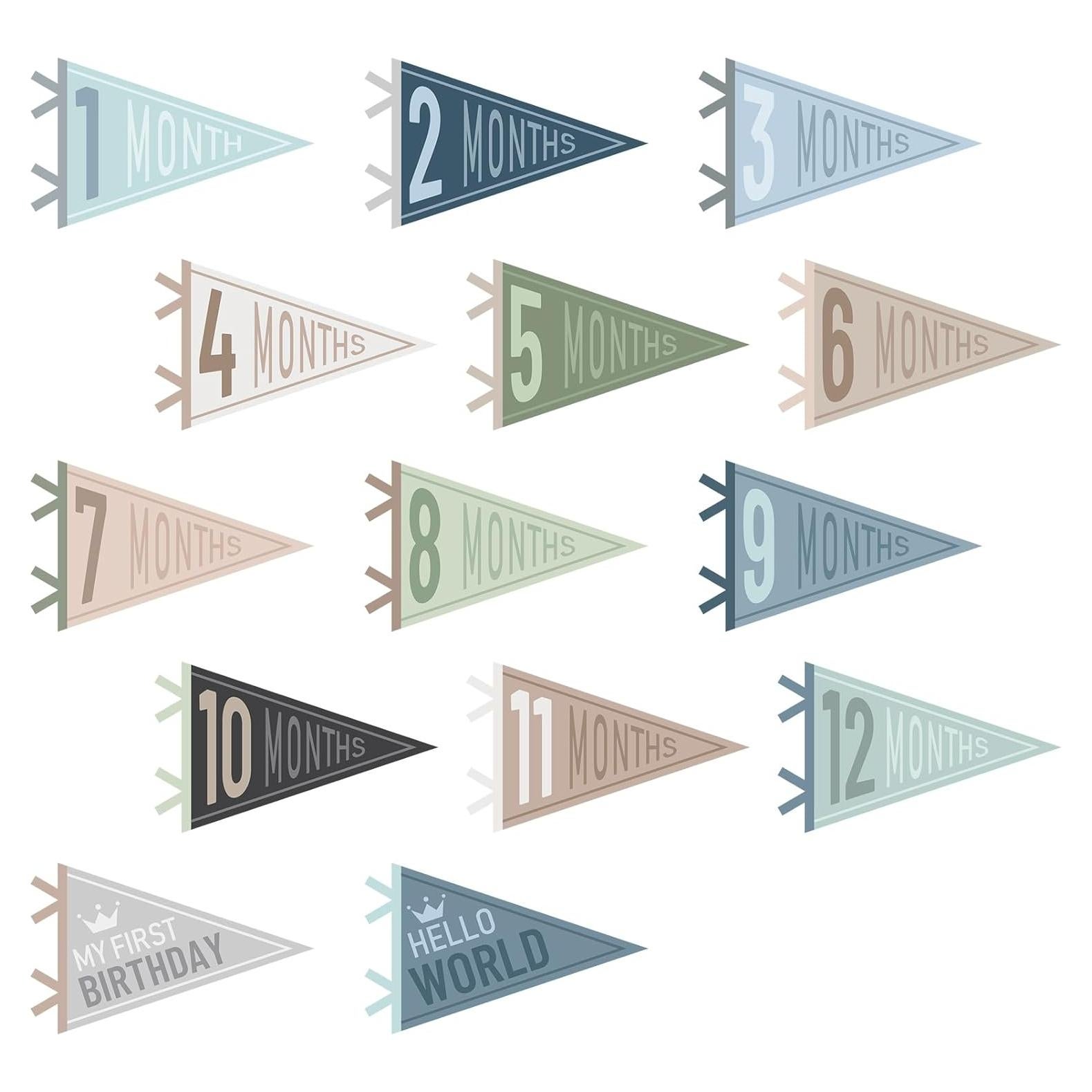 Banderas de Hito Mensual para Bebés VitalCozy - 14 Pcs Fieltro