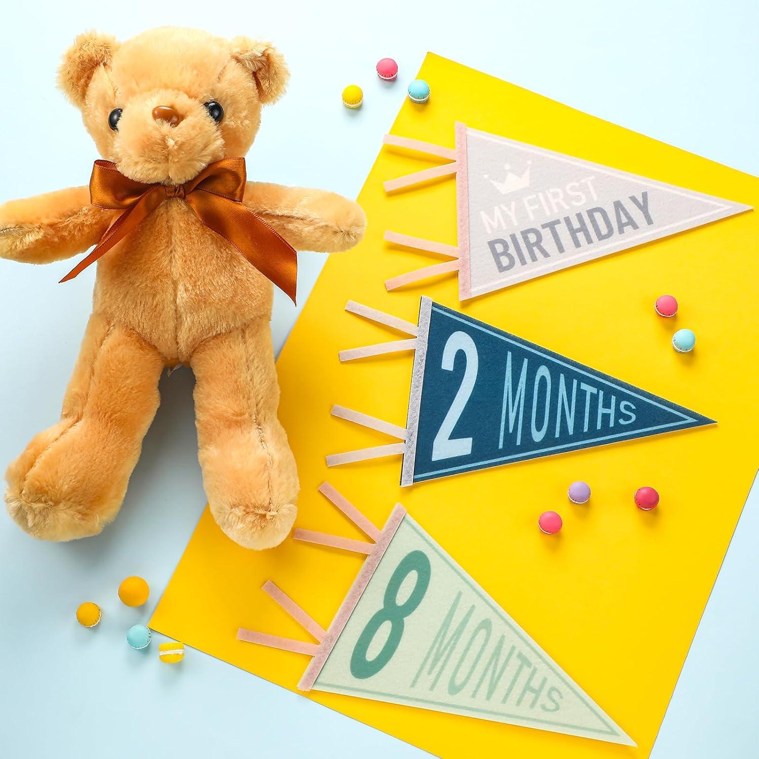 Banderas de Hito Mensual para Bebés VitalCozy - 14 Pcs Fieltro