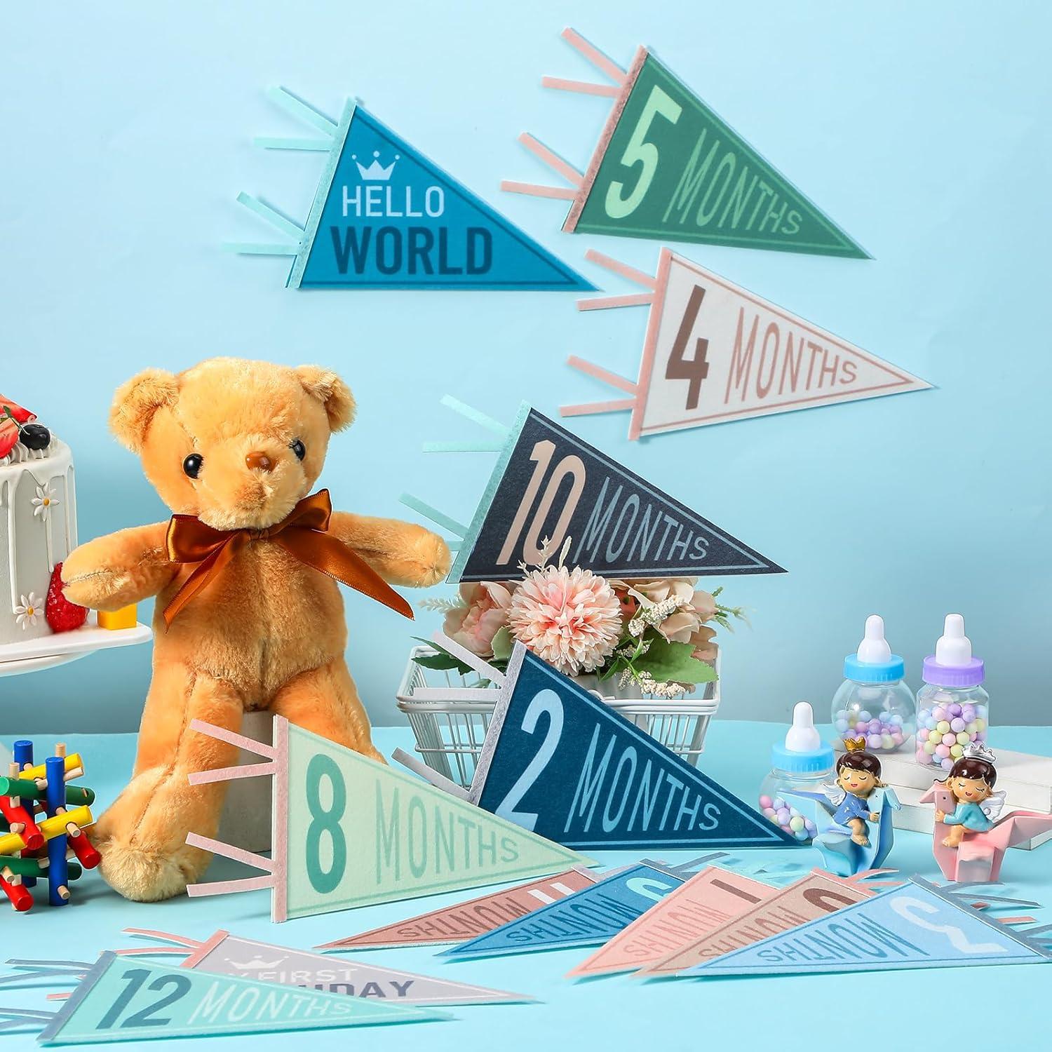 Banderas de Hito Mensual para Bebés VitalCozy - 14 Pcs Fieltro