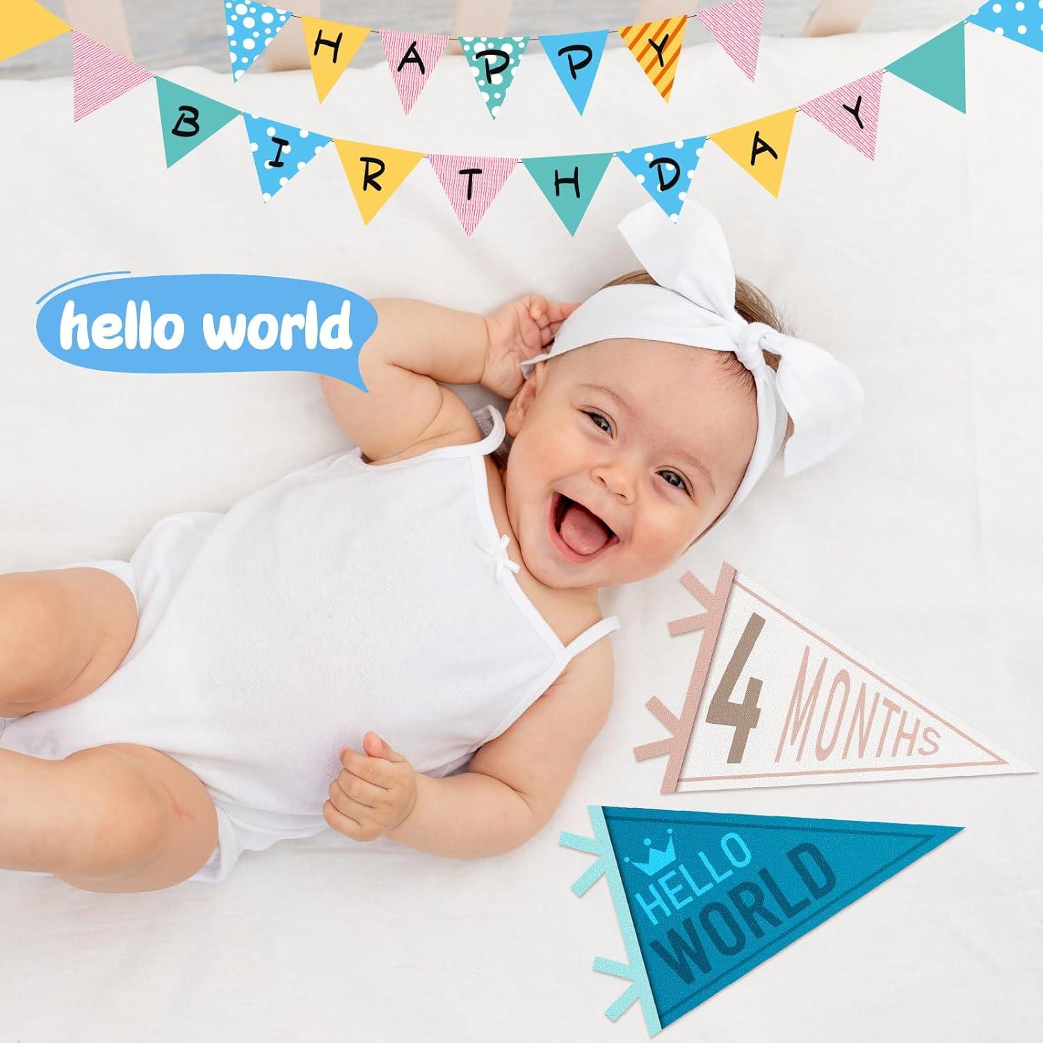 Banderas de Hito Mensual para Bebés VitalCozy - 14 Pcs Fieltro