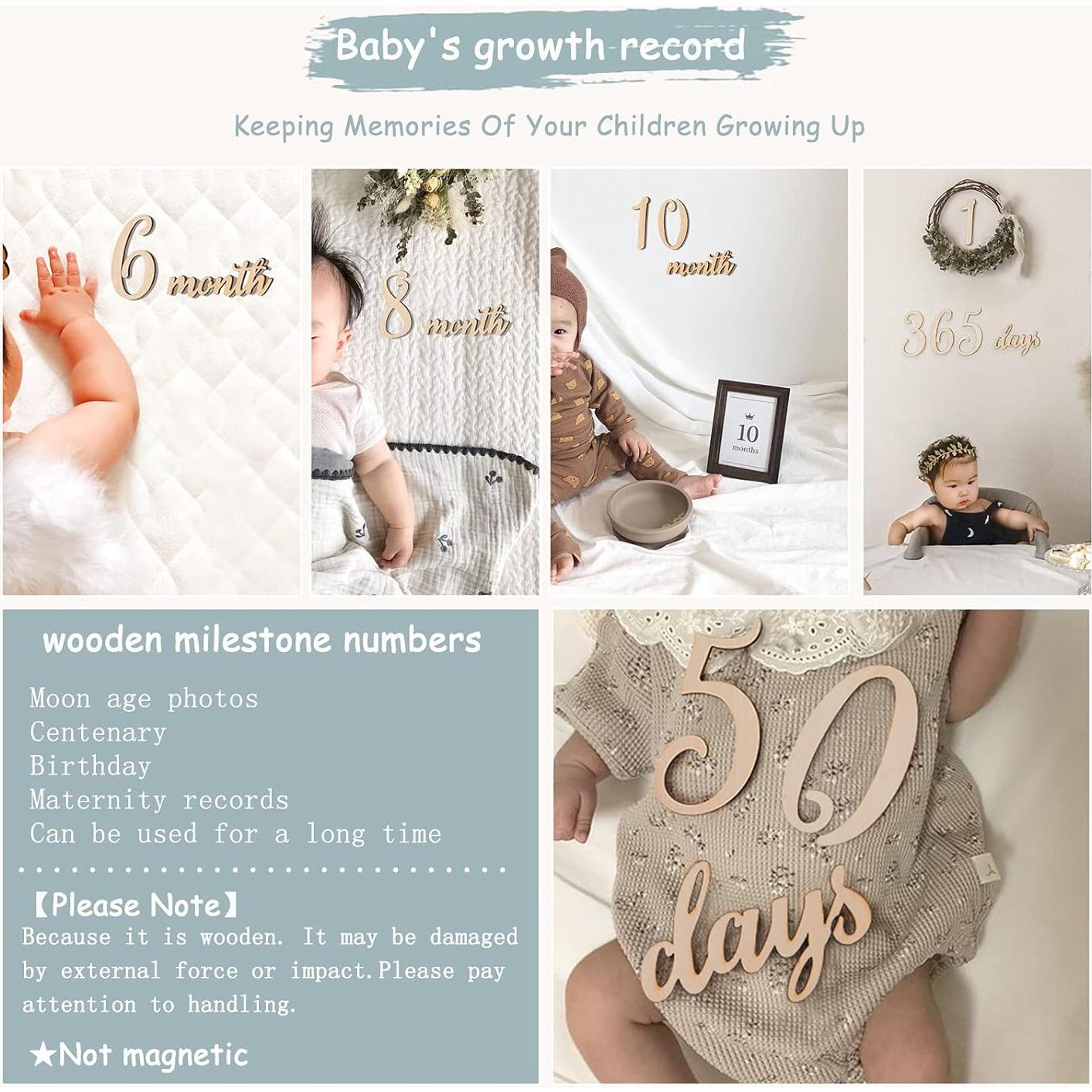 Set de 19 Números de Hitos de Madera Promise Babe