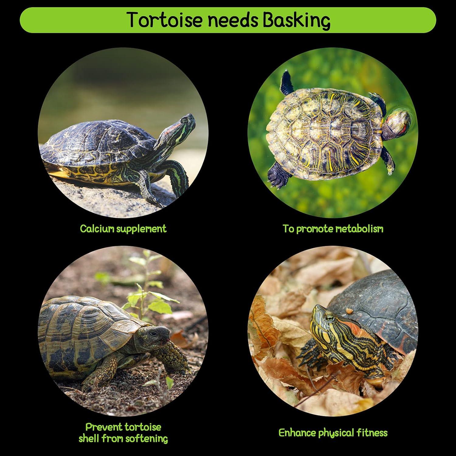 Plataforma de Sol para Tortugas Cunhill - 2 Piezas Acrílico