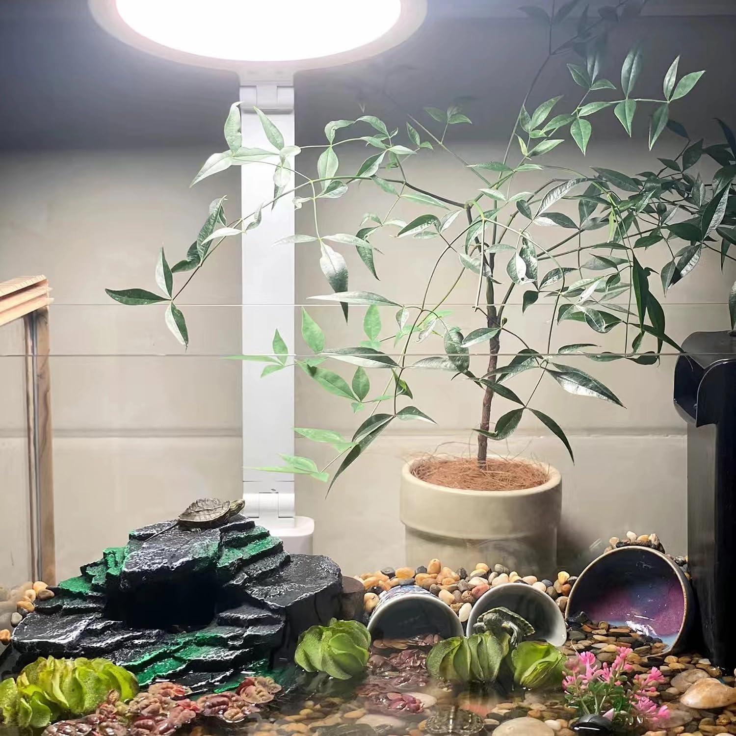 Plataforma de Sol Mipukbay para Tortugas y Reptiles 19.3x14cm