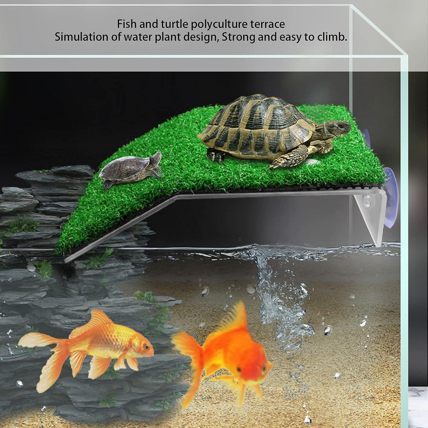 Rampa para Tortugas Grande Genérica - Hábitat de Plástico