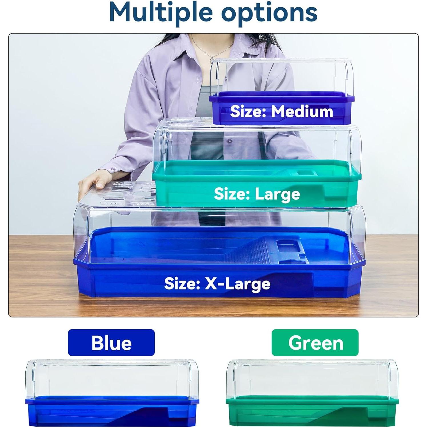 Kit Hábitat para Tortugas Acuáticas BINANO 48.9x24.9cm Verde