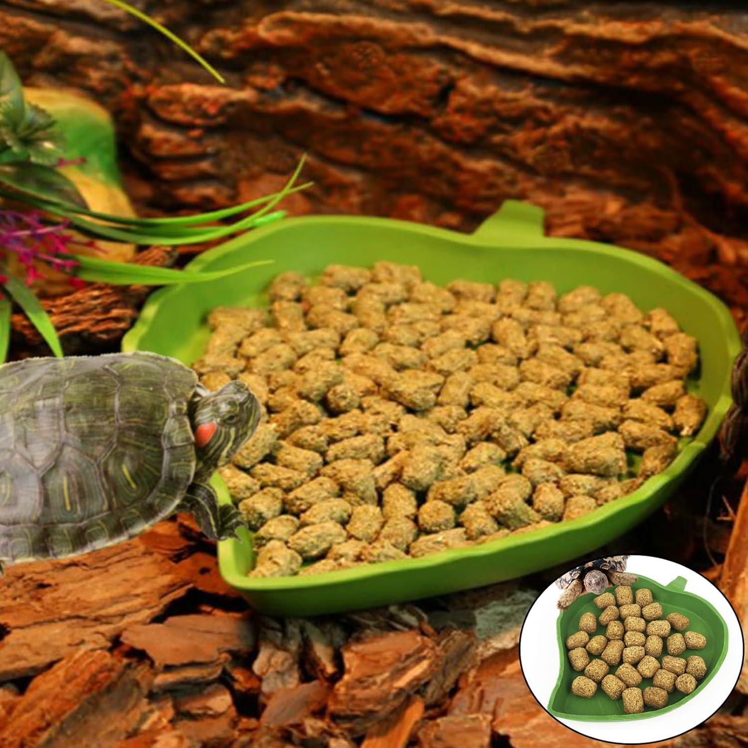 Plataforma de Sol para Tortugas Hamiledyi con Tazones 27.5x15.5cm