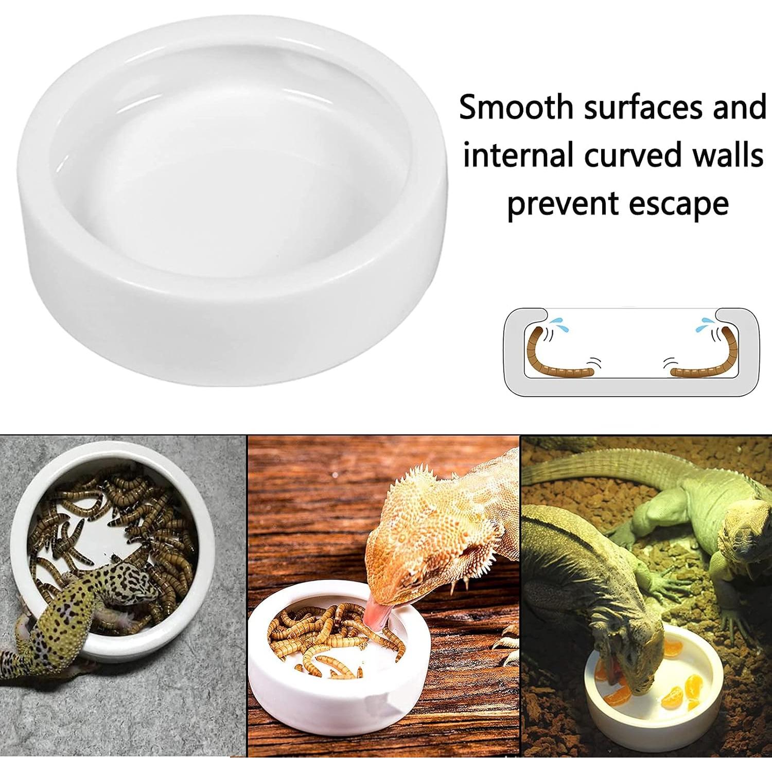 Plataforma de Sol para Tortugas Hamiledyi con Tazones 27.5x15.5cm