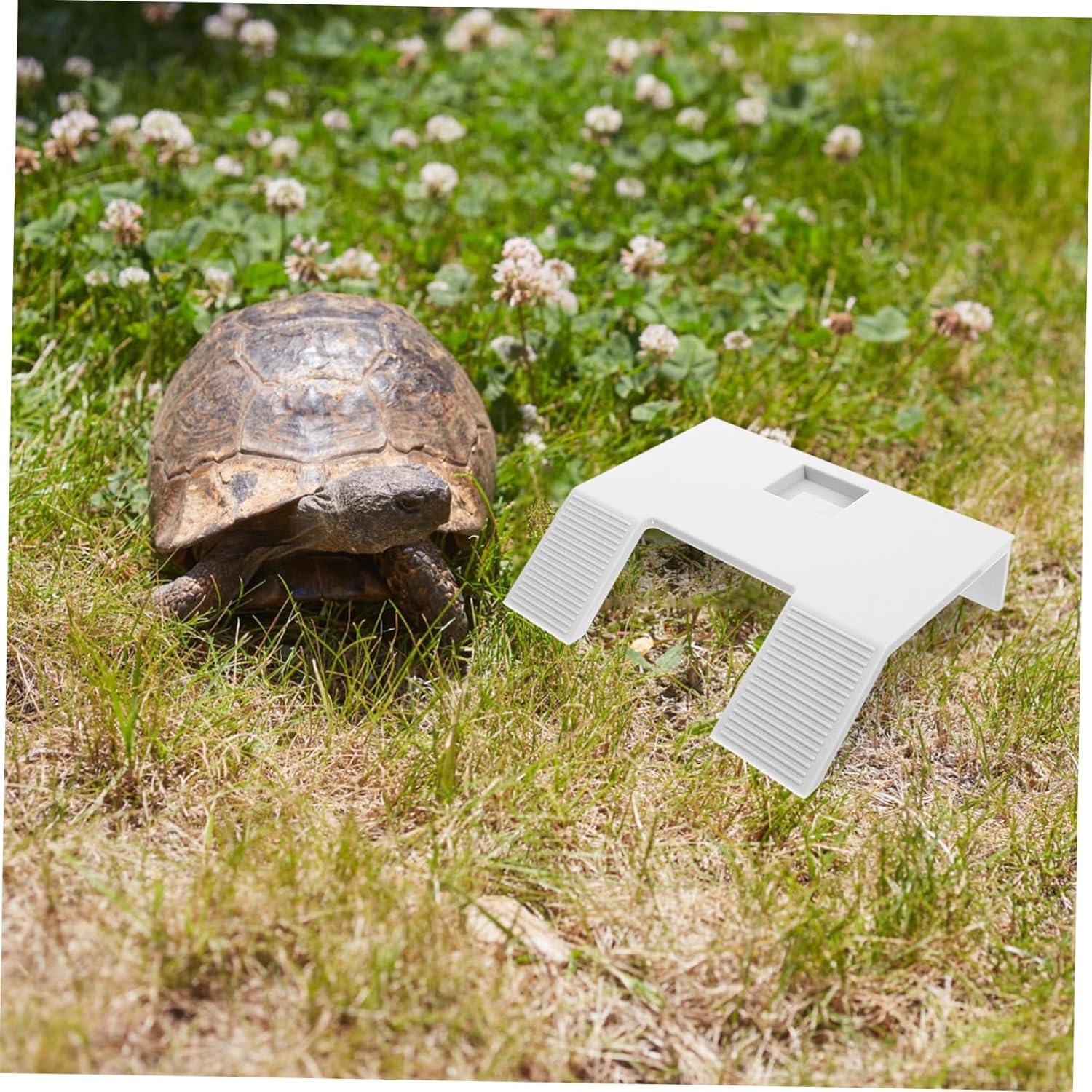 Plataforma para Tortugas Yardwe con Ventosas 22x17cm