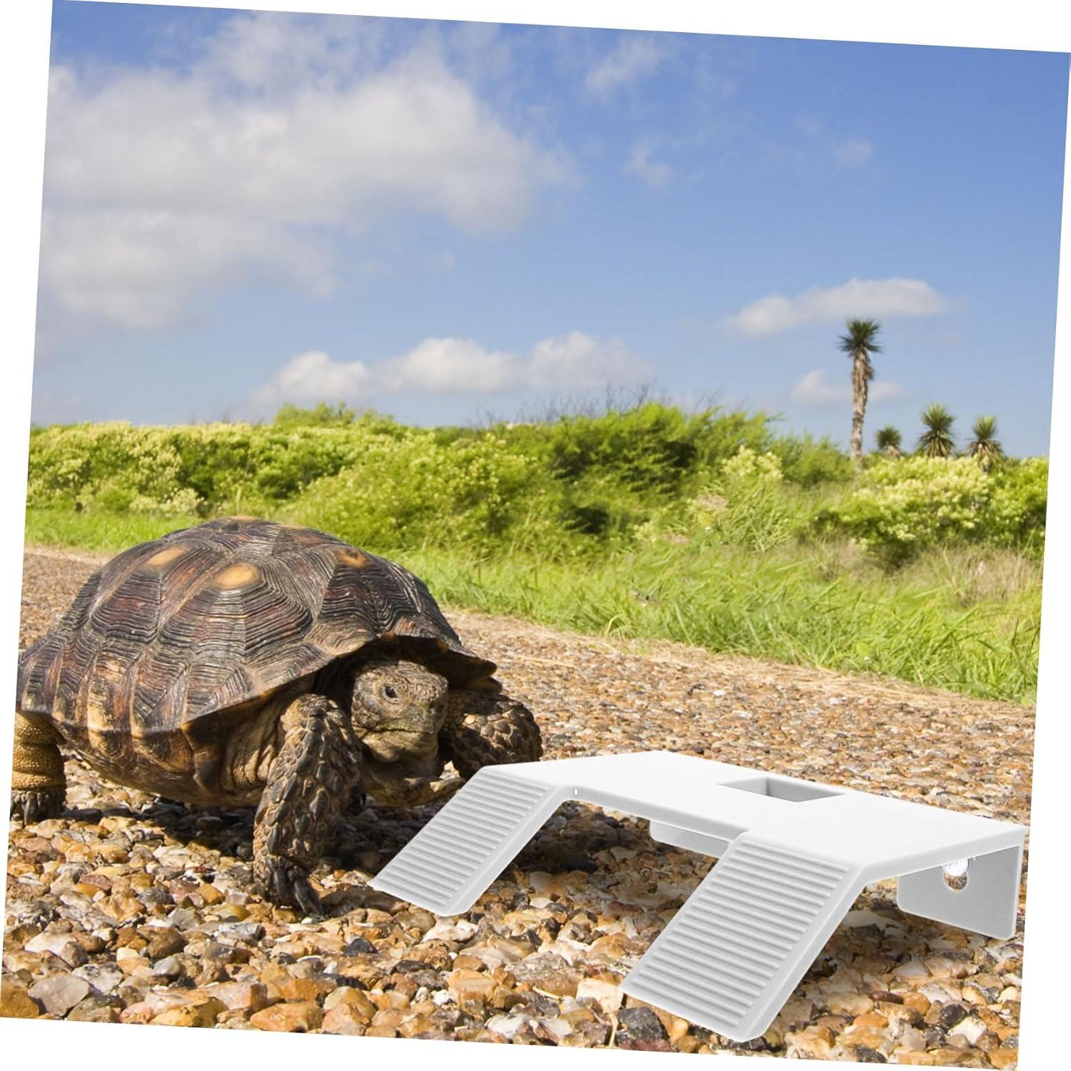 Plataforma para Tortugas Yardwe con Ventosas 22x17cm